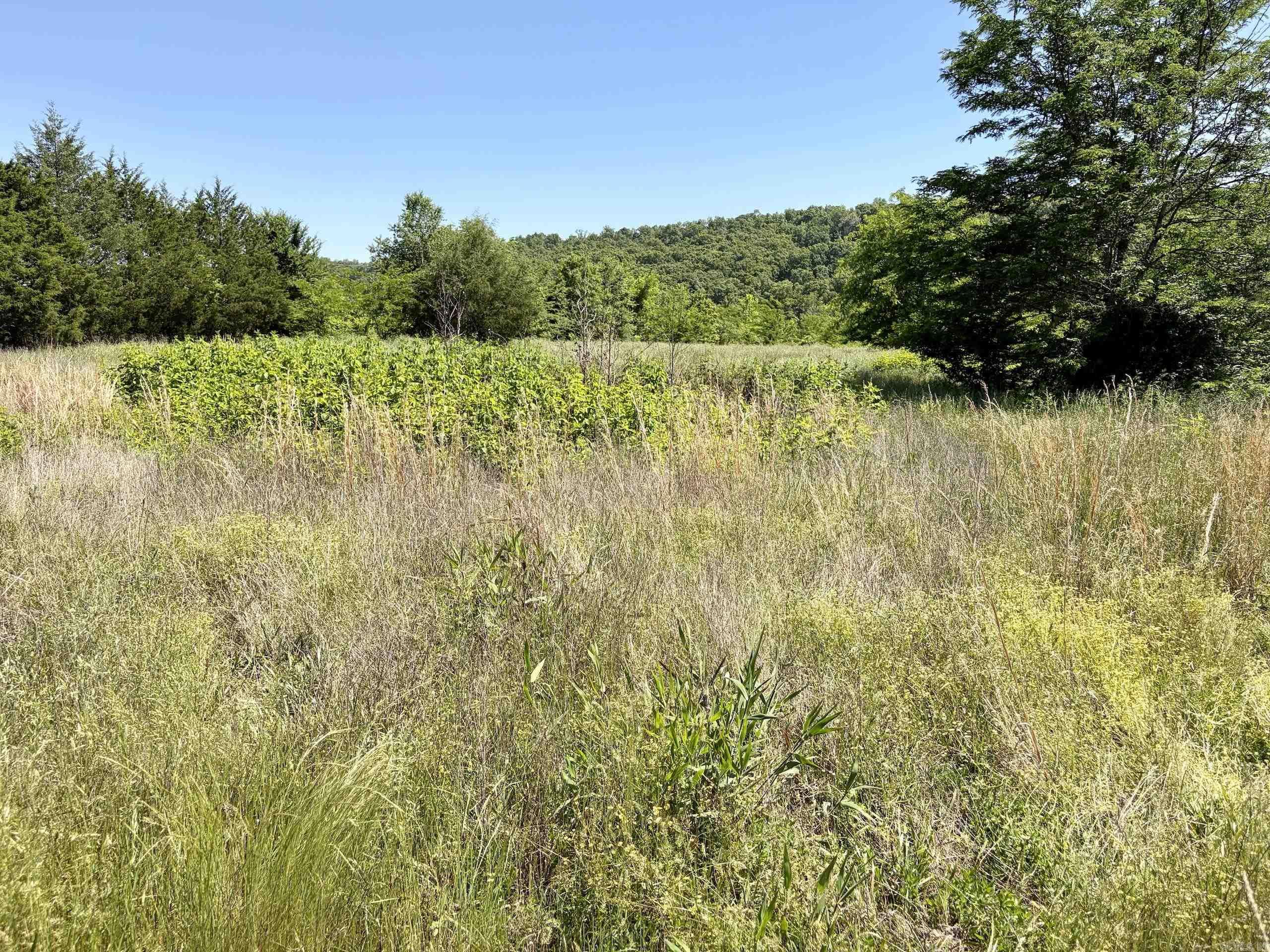 002 Burkett Flat Road Property Photo 41