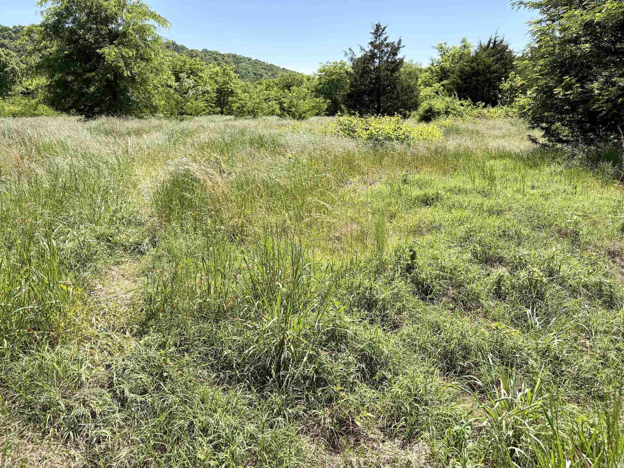 002 Burkett Flat Road Property Photo 42