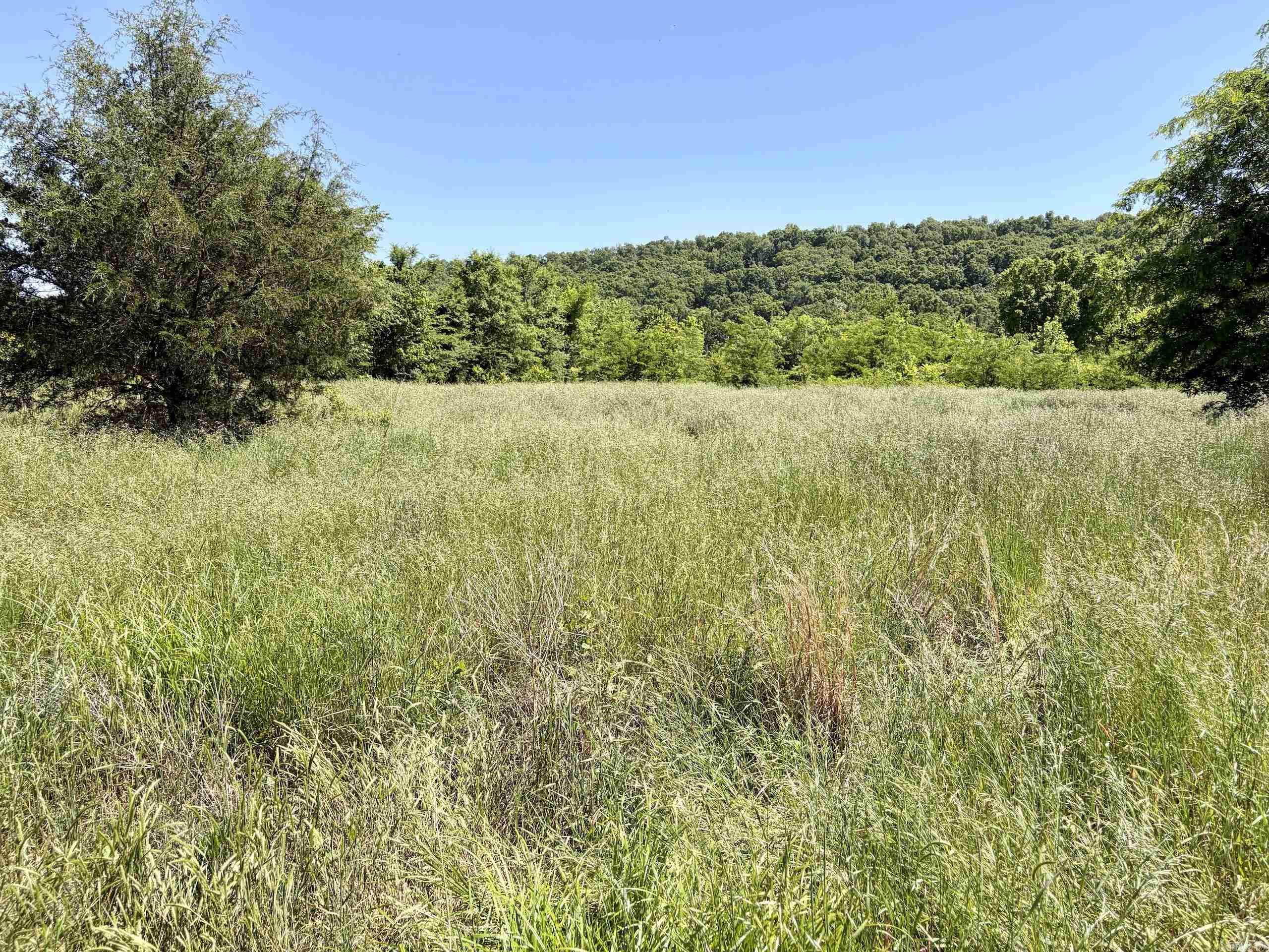 002 Burkett Flat Road Property Photo 43
