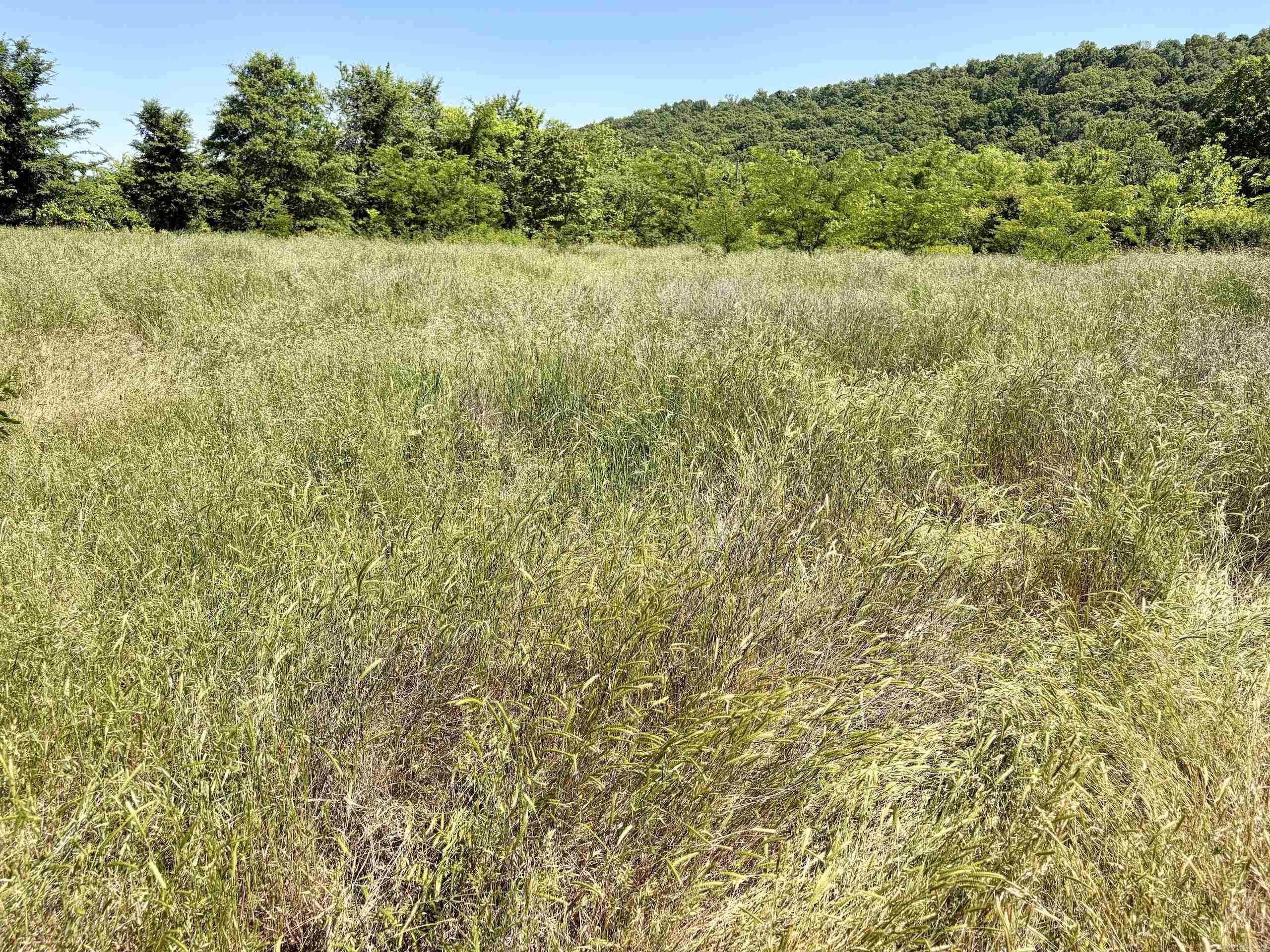 002 Burkett Flat Road Property Photo 44