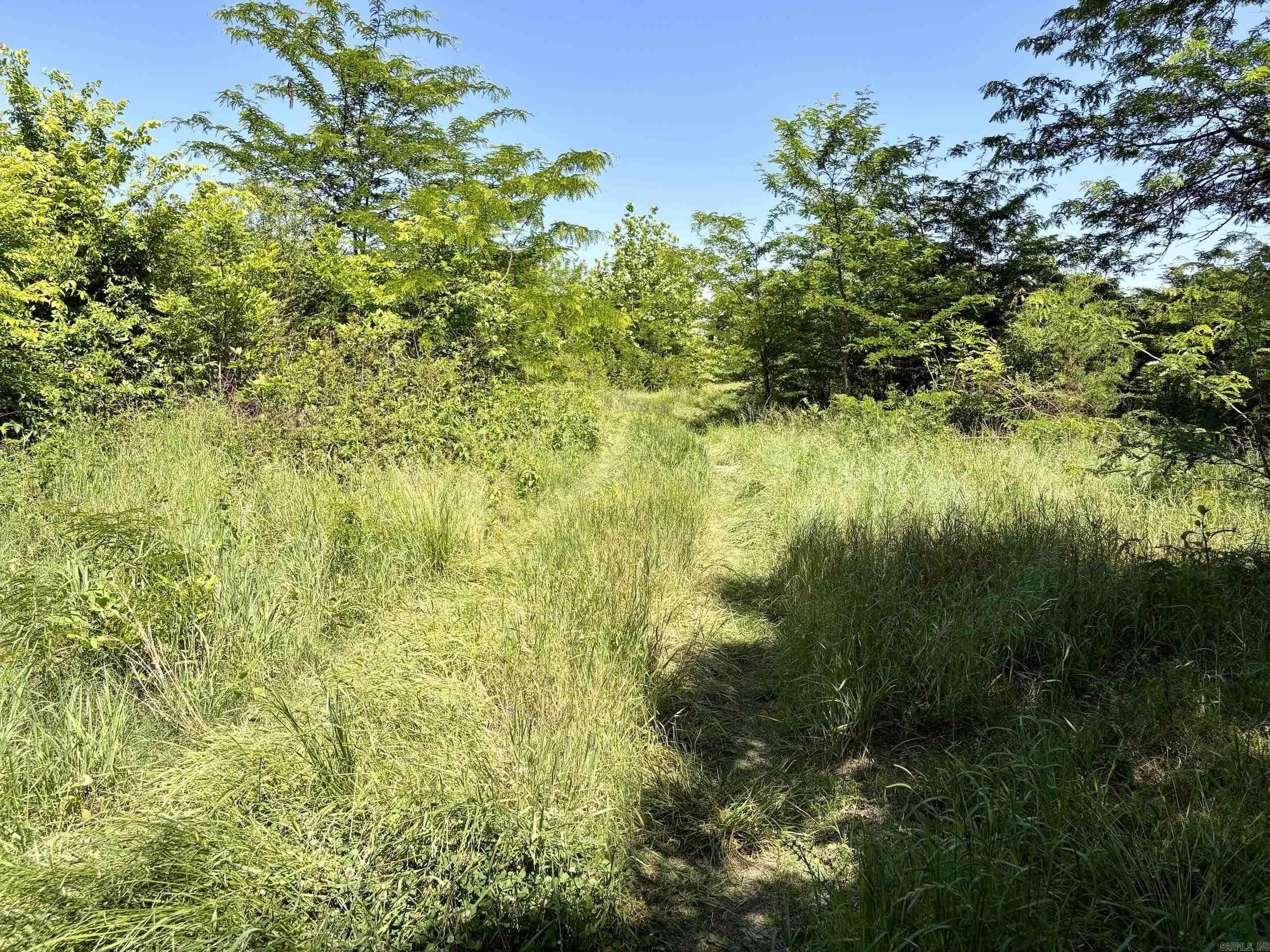002 Burkett Flat Road Property Photo 45
