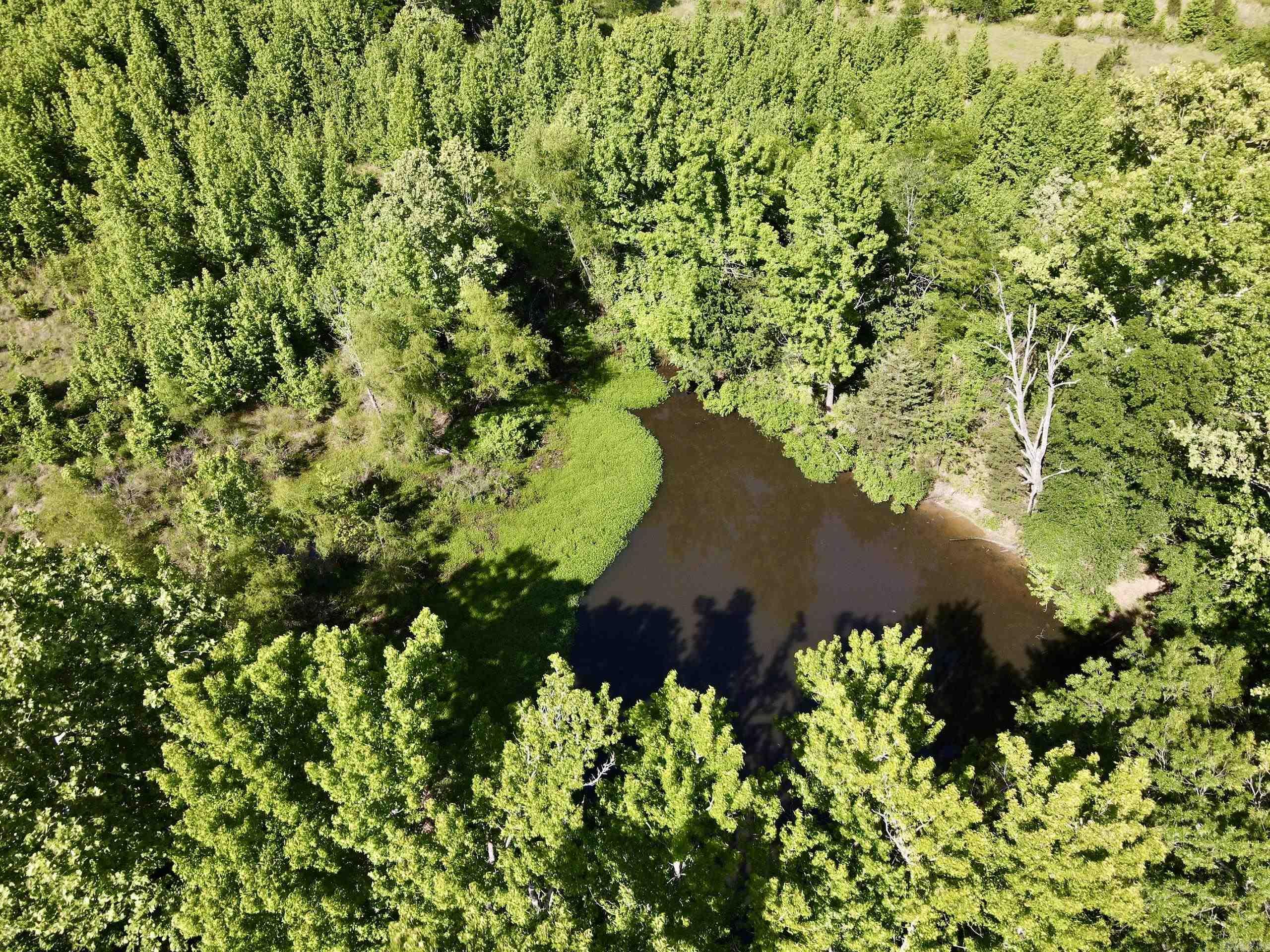 003 Burkett Flat Road Property Photo 8