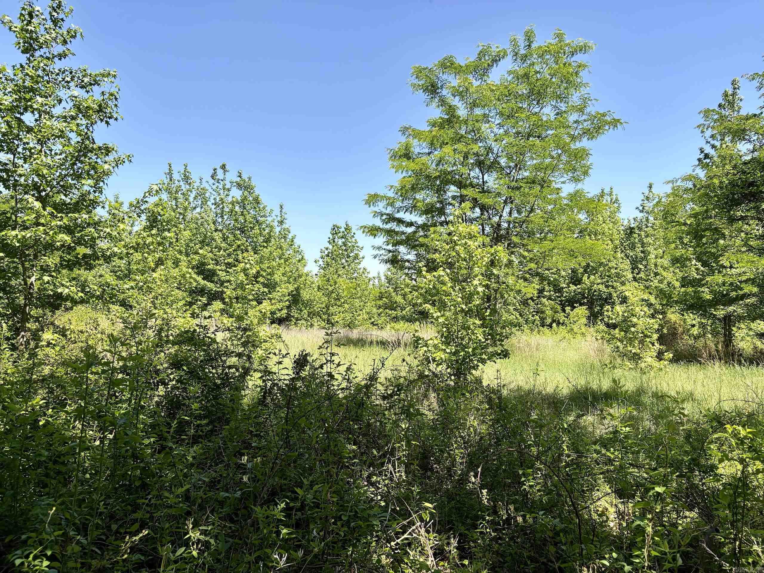 003 Burkett Flat Road Property Photo 23