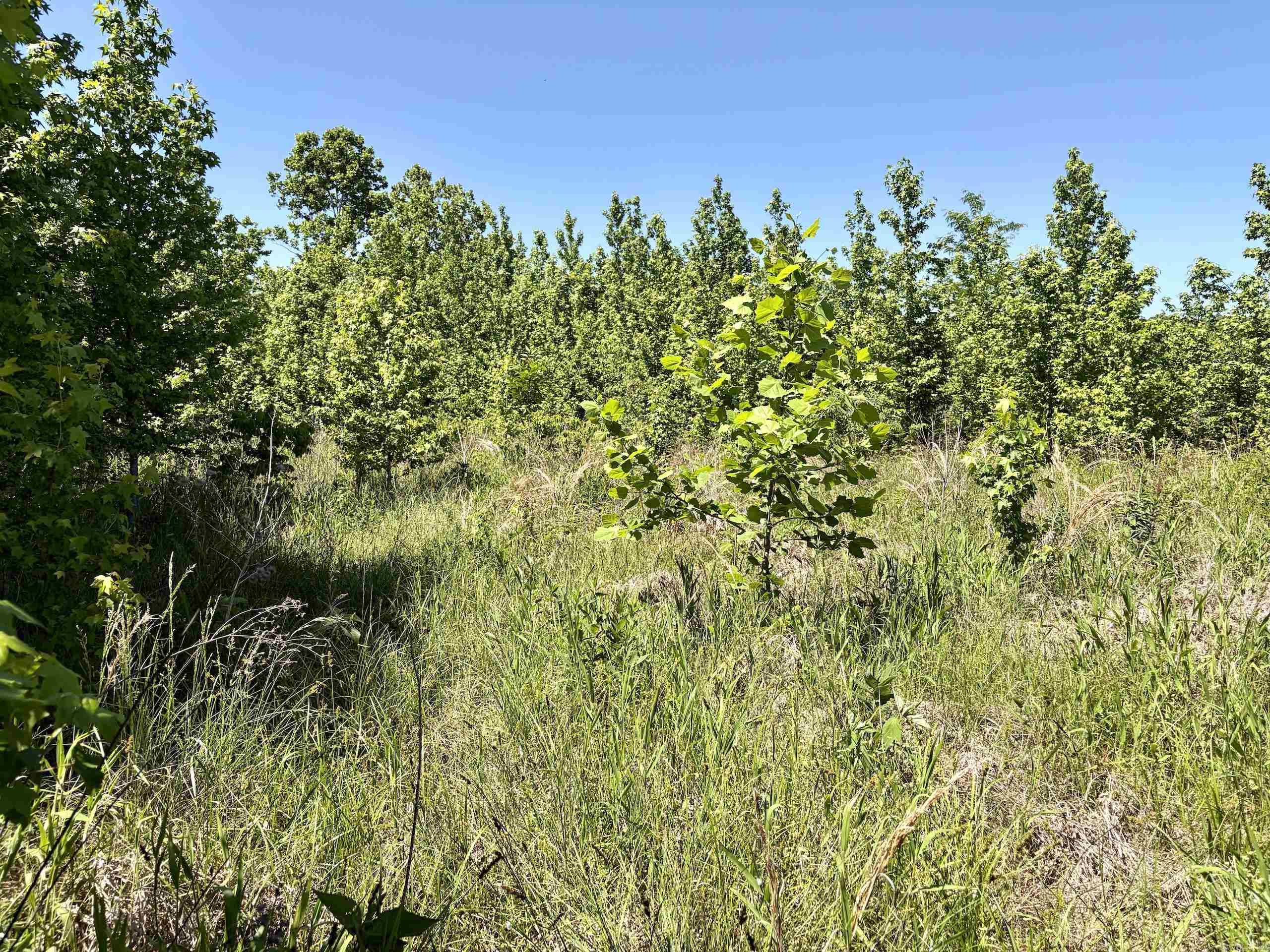 003 Burkett Flat Road Property Photo 24