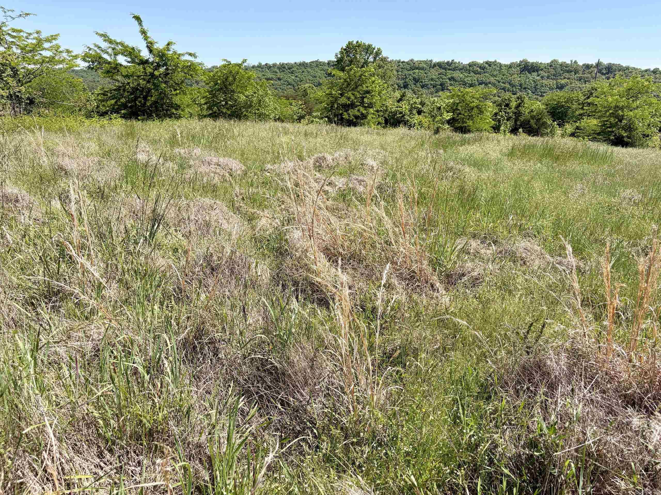 003 Burkett Flat Road Property Photo 32