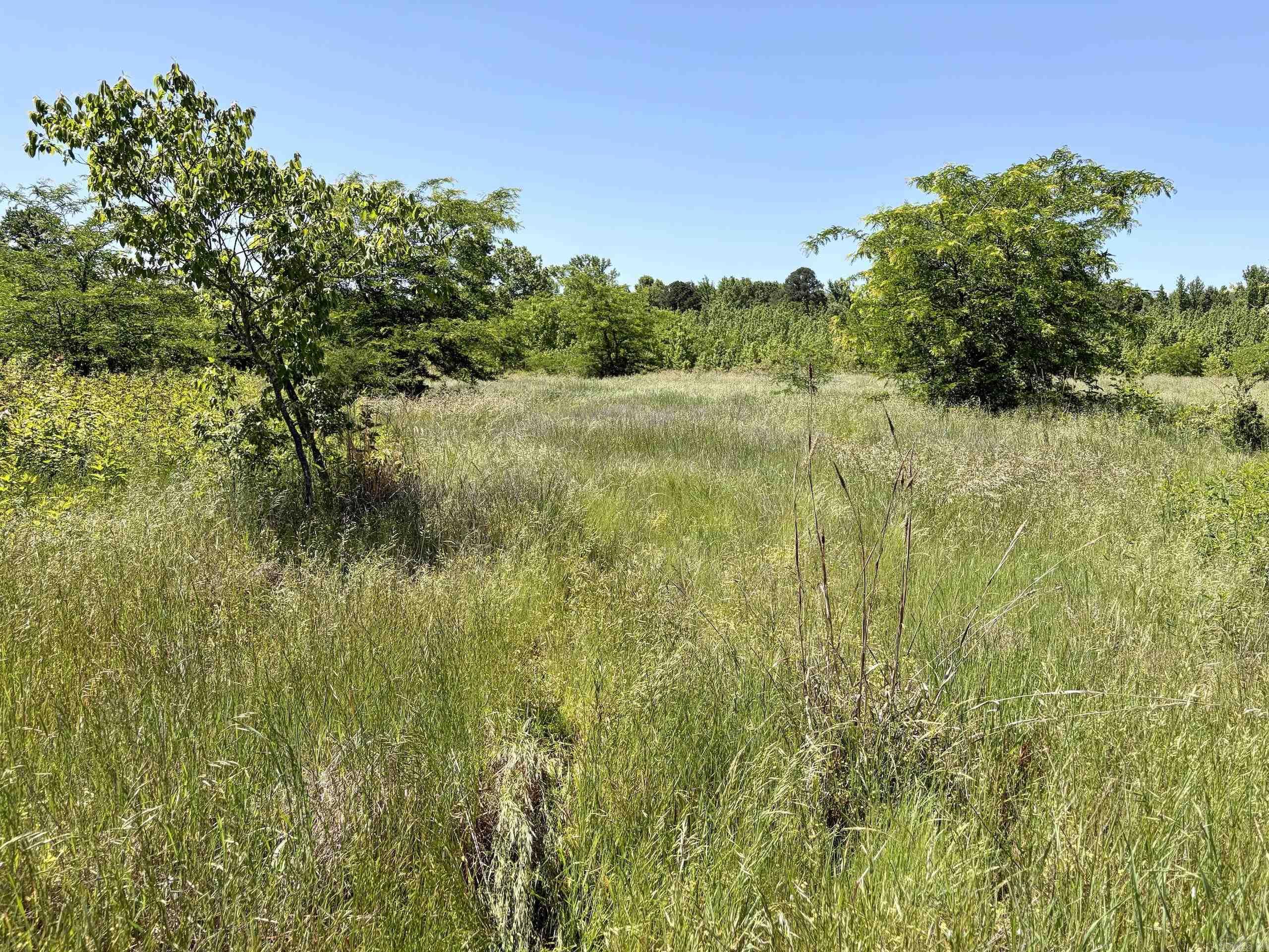003 Burkett Flat Road Property Photo 34