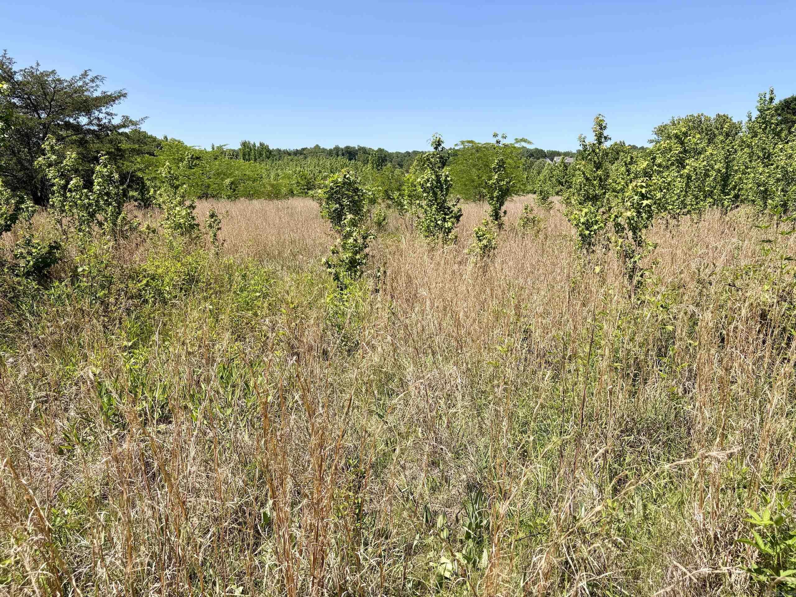 003 Burkett Flat Road Property Photo 36