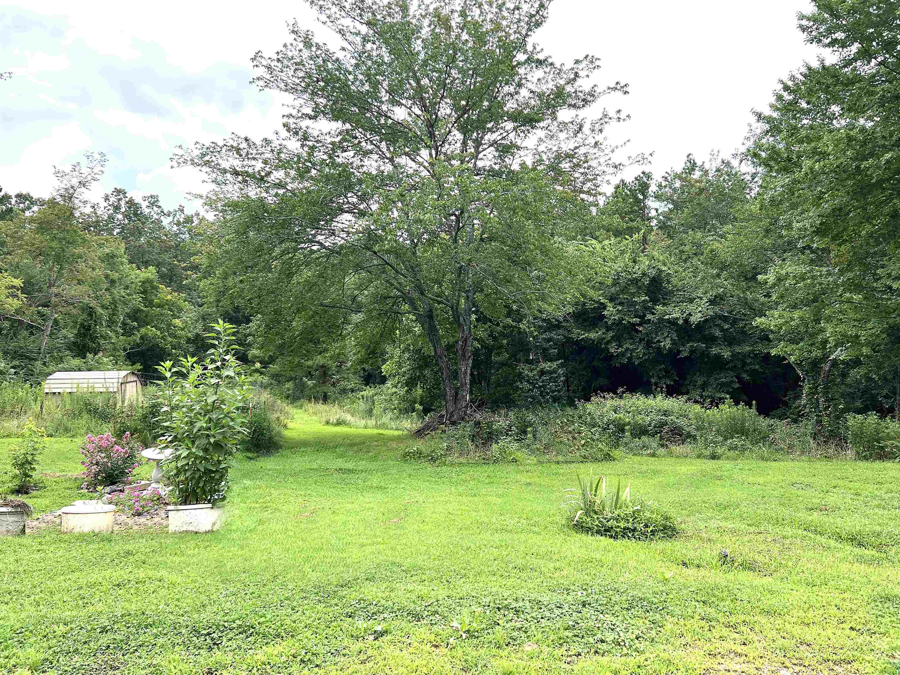 21119 N Hwy 5 Property Photo 28