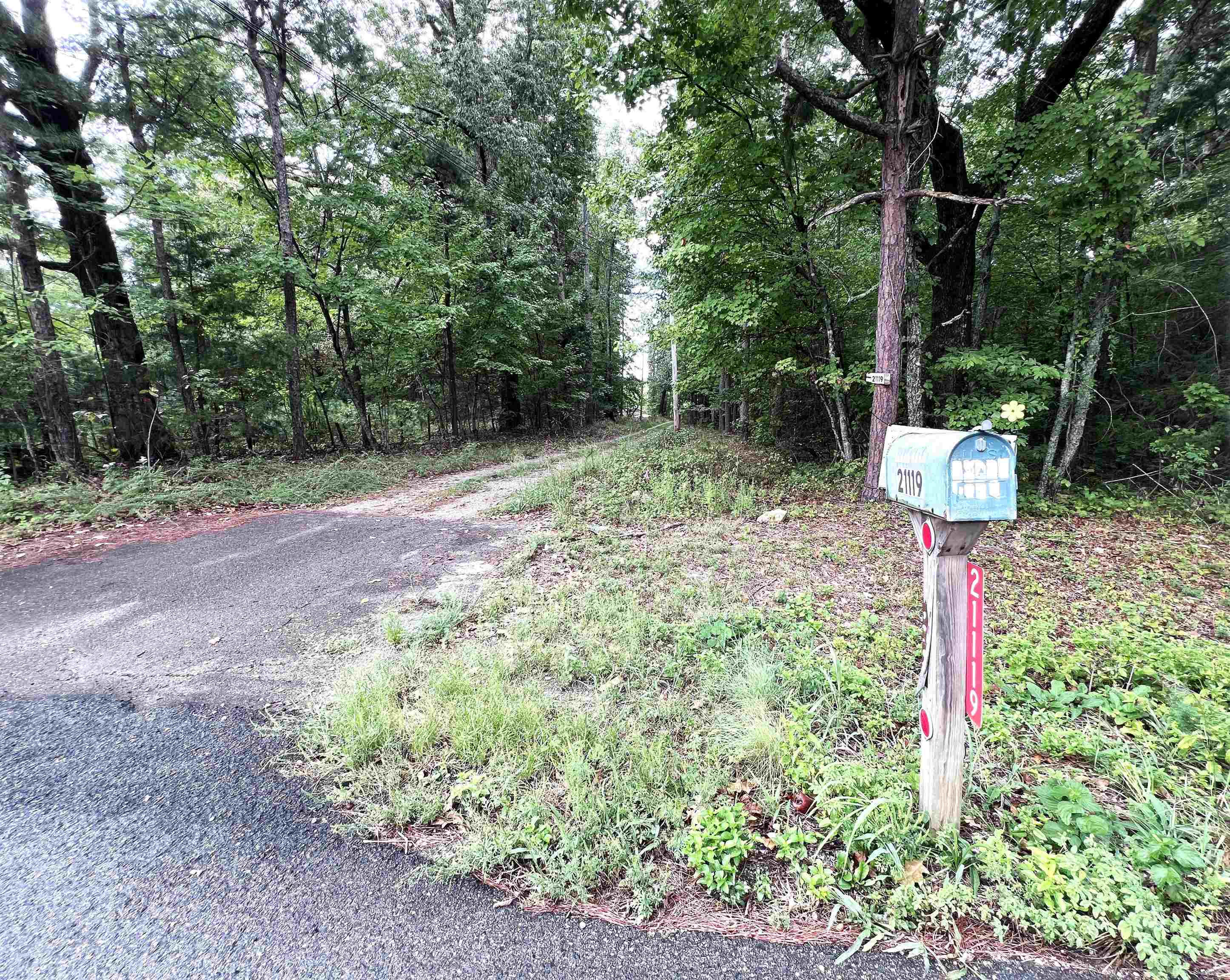 21119 N Hwy 5 Property Photo 38
