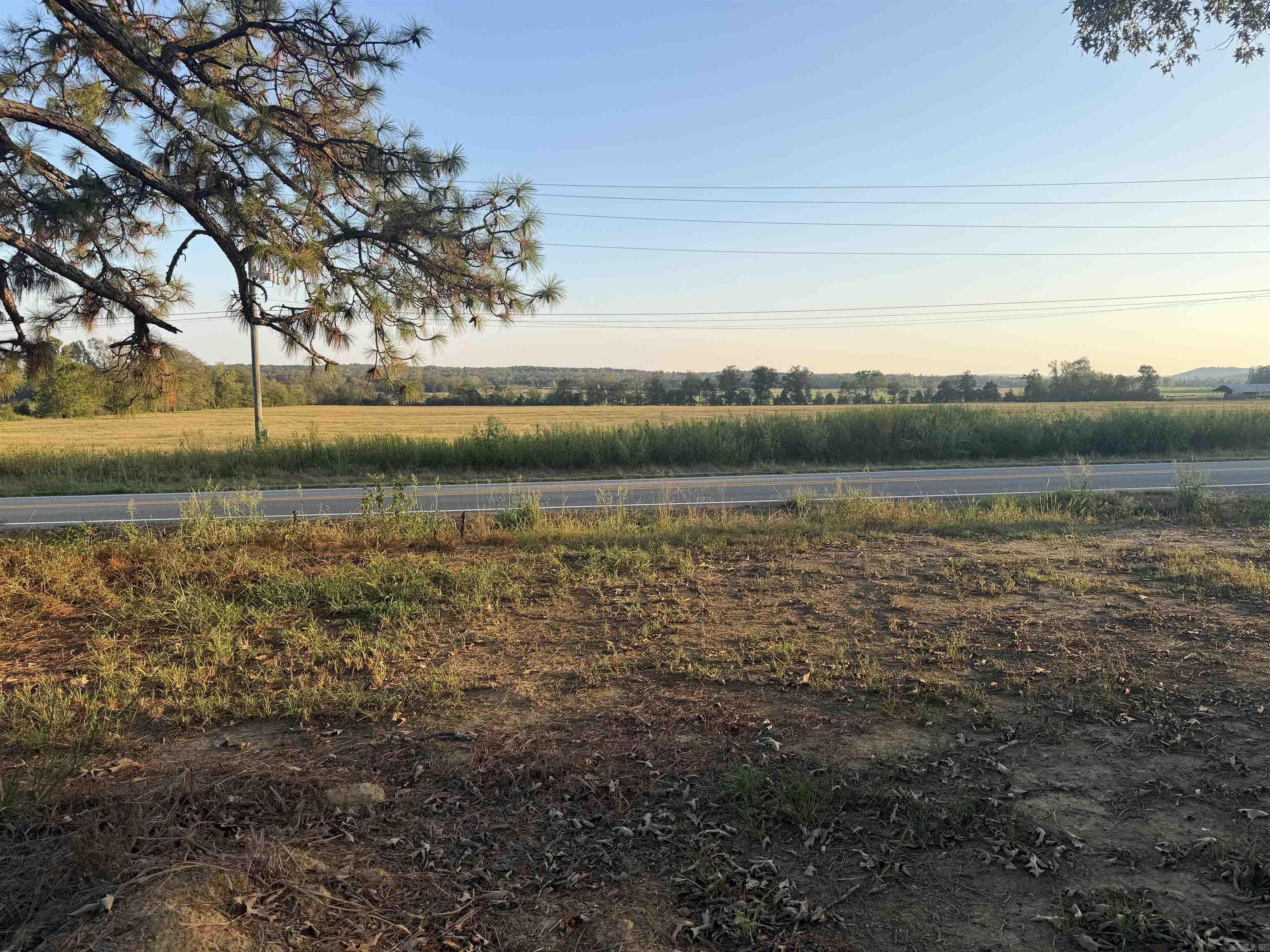 559 Highway 124 Property Photo 3
