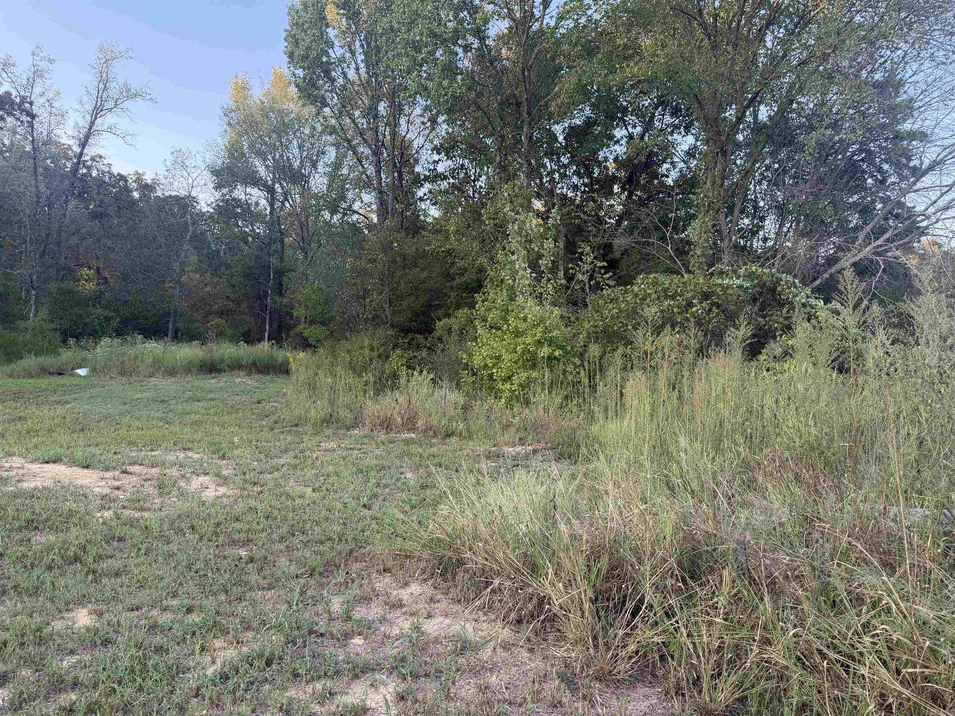 559 Highway 124 Property Photo 9
