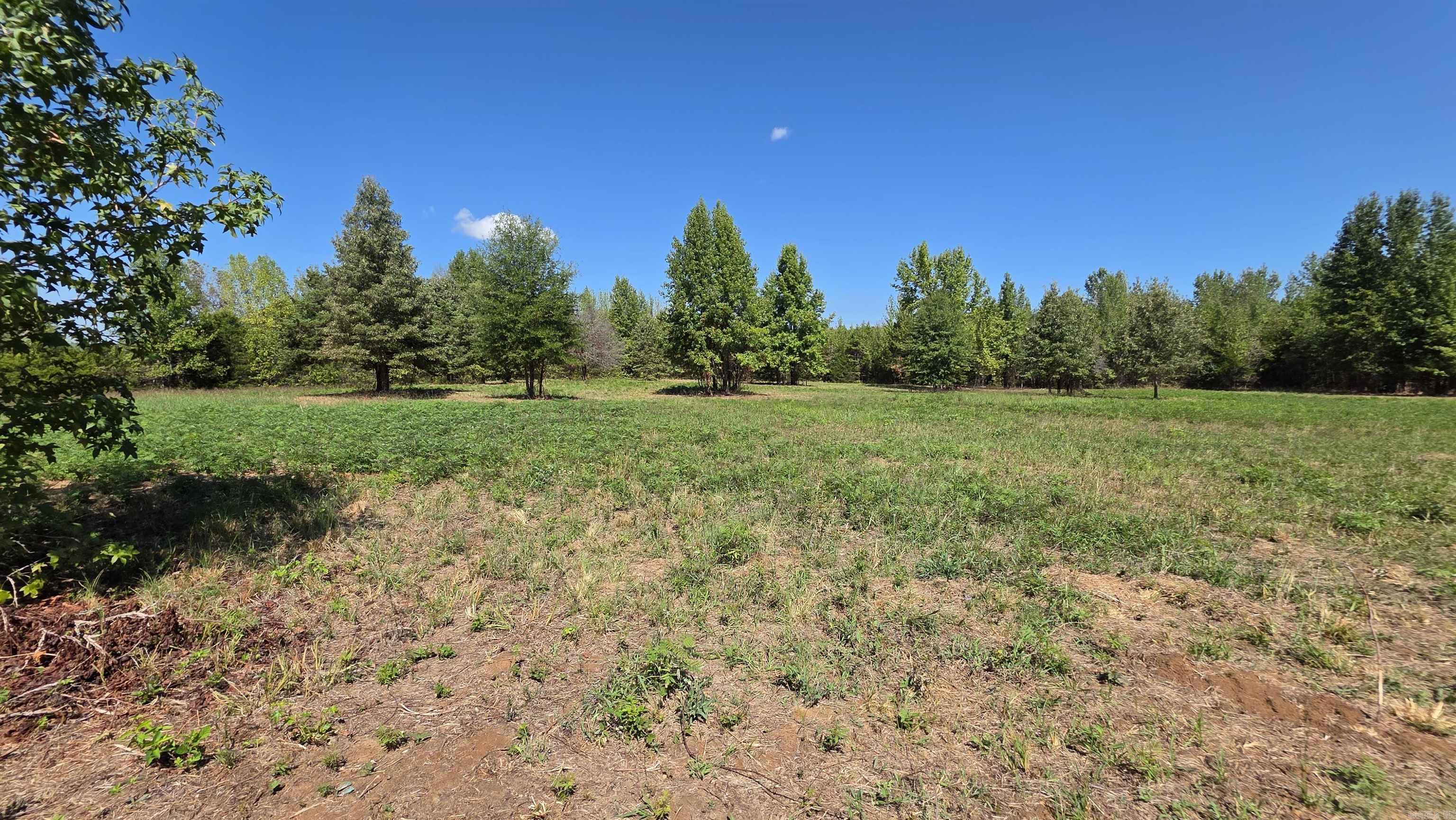 2701 State Highway 818 Property Photo 5