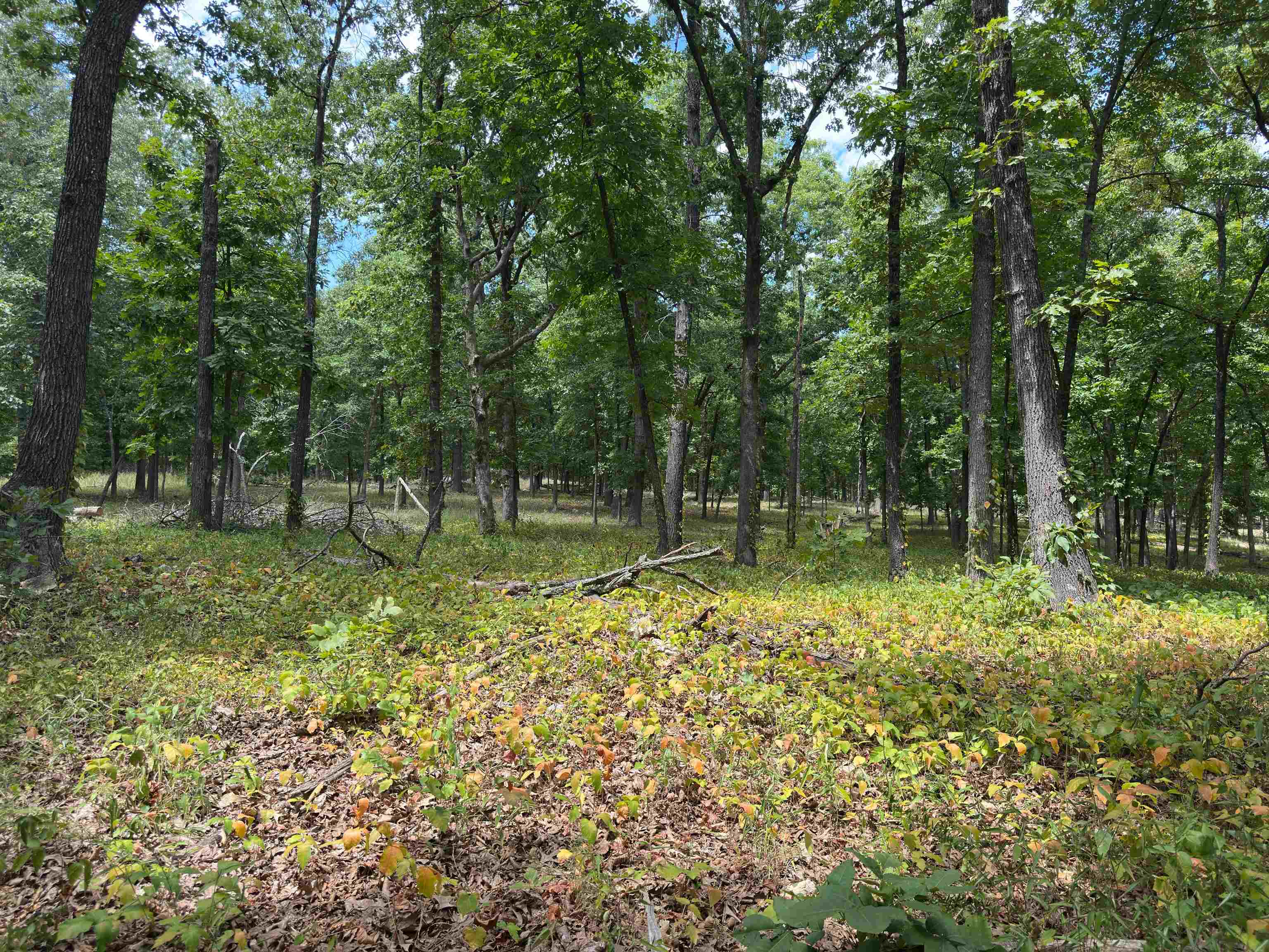 83 Buckboard Drive Property Photo 32