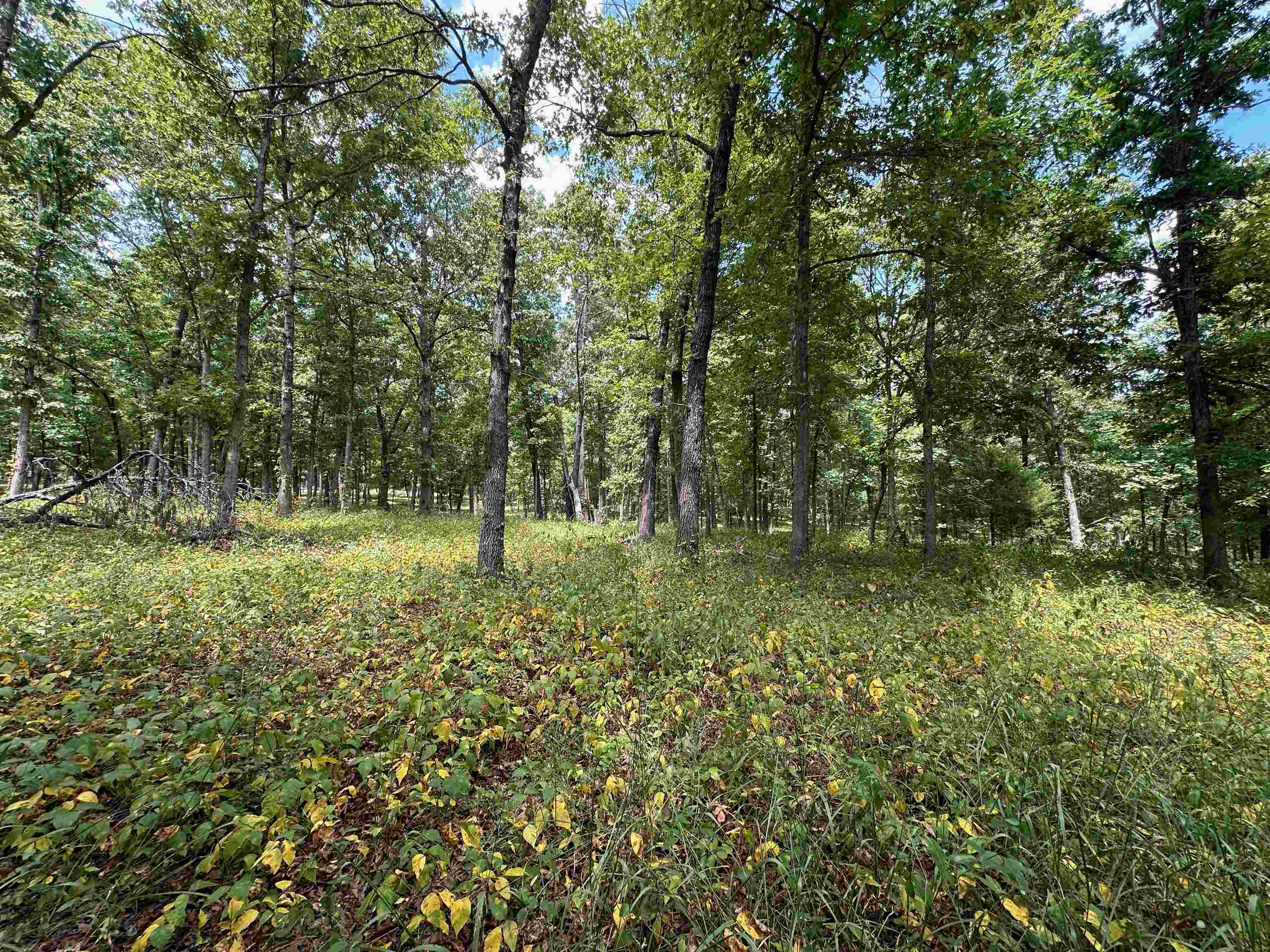 83 Buckboard Drive Property Photo 33