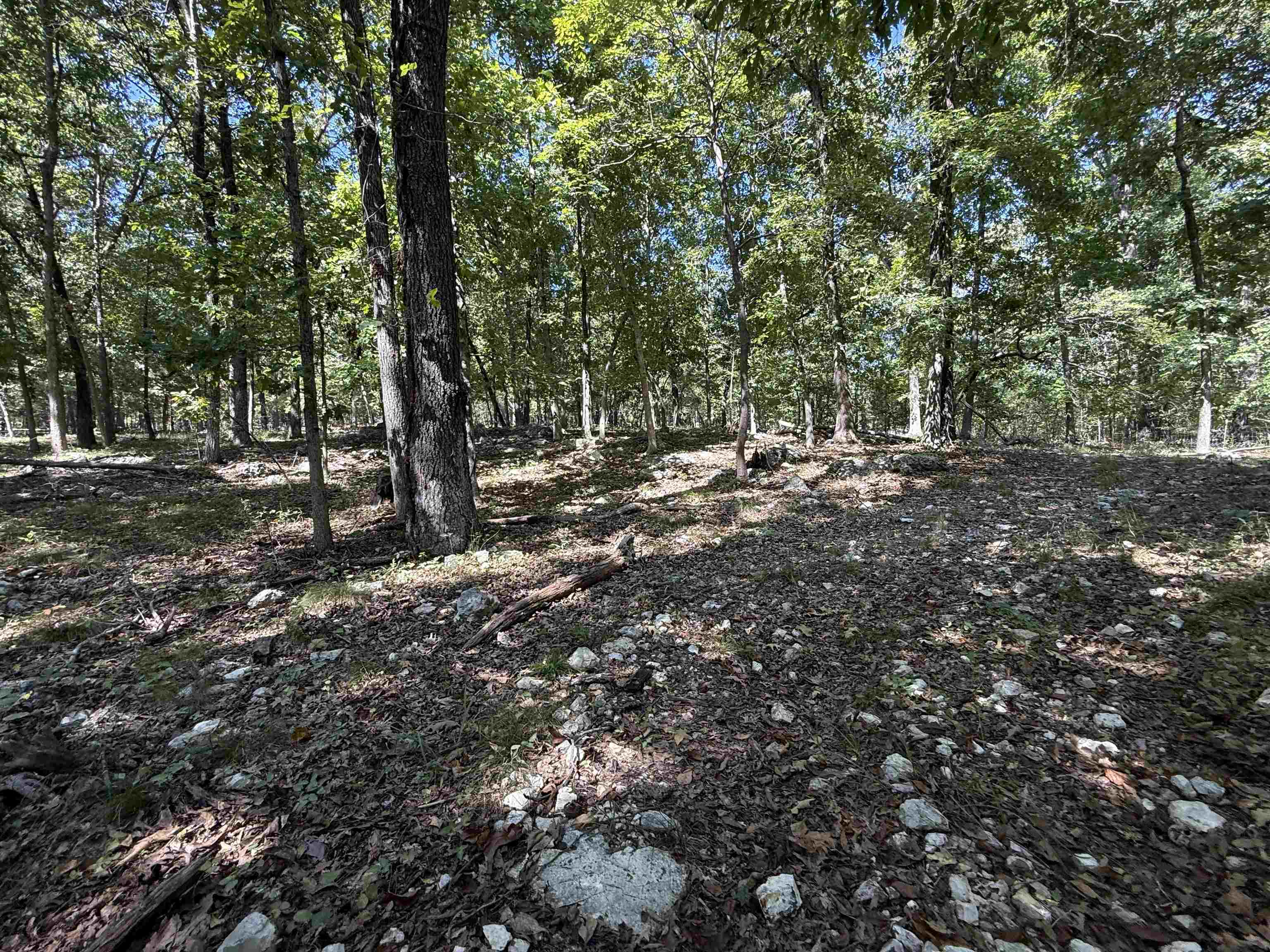 83 Buckboard Drive Property Photo 34
