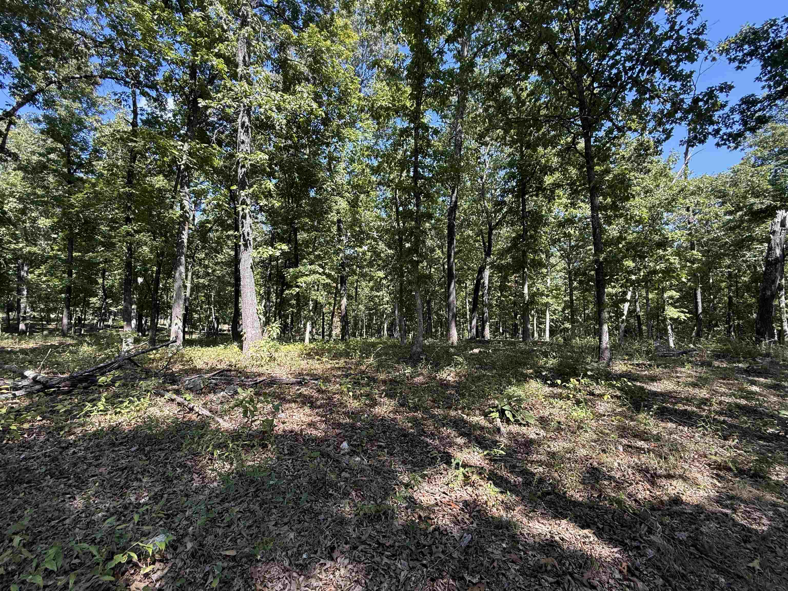 1778 Hwy 63 Property Photo 9