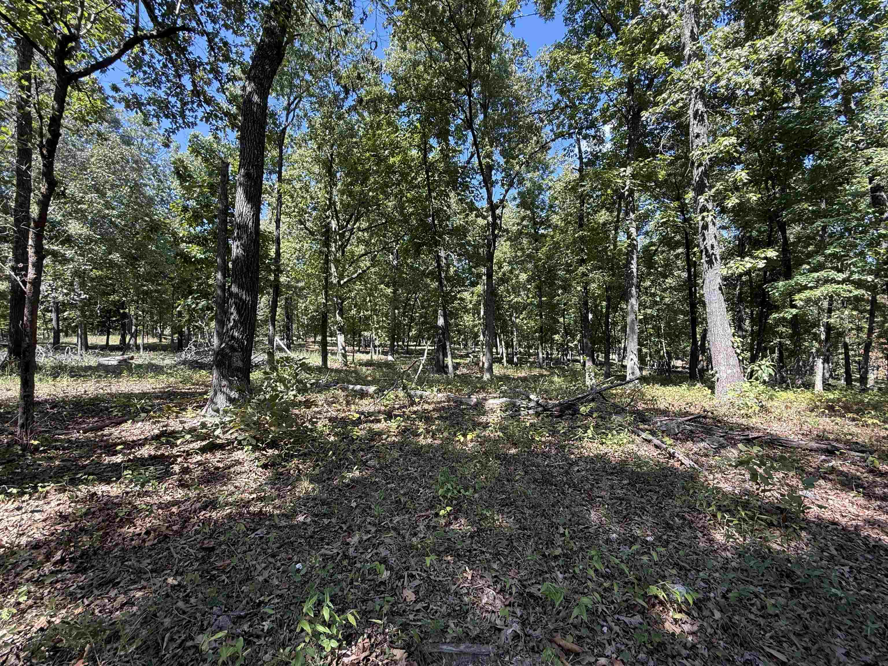 1778 Hwy 63 Property Photo 10
