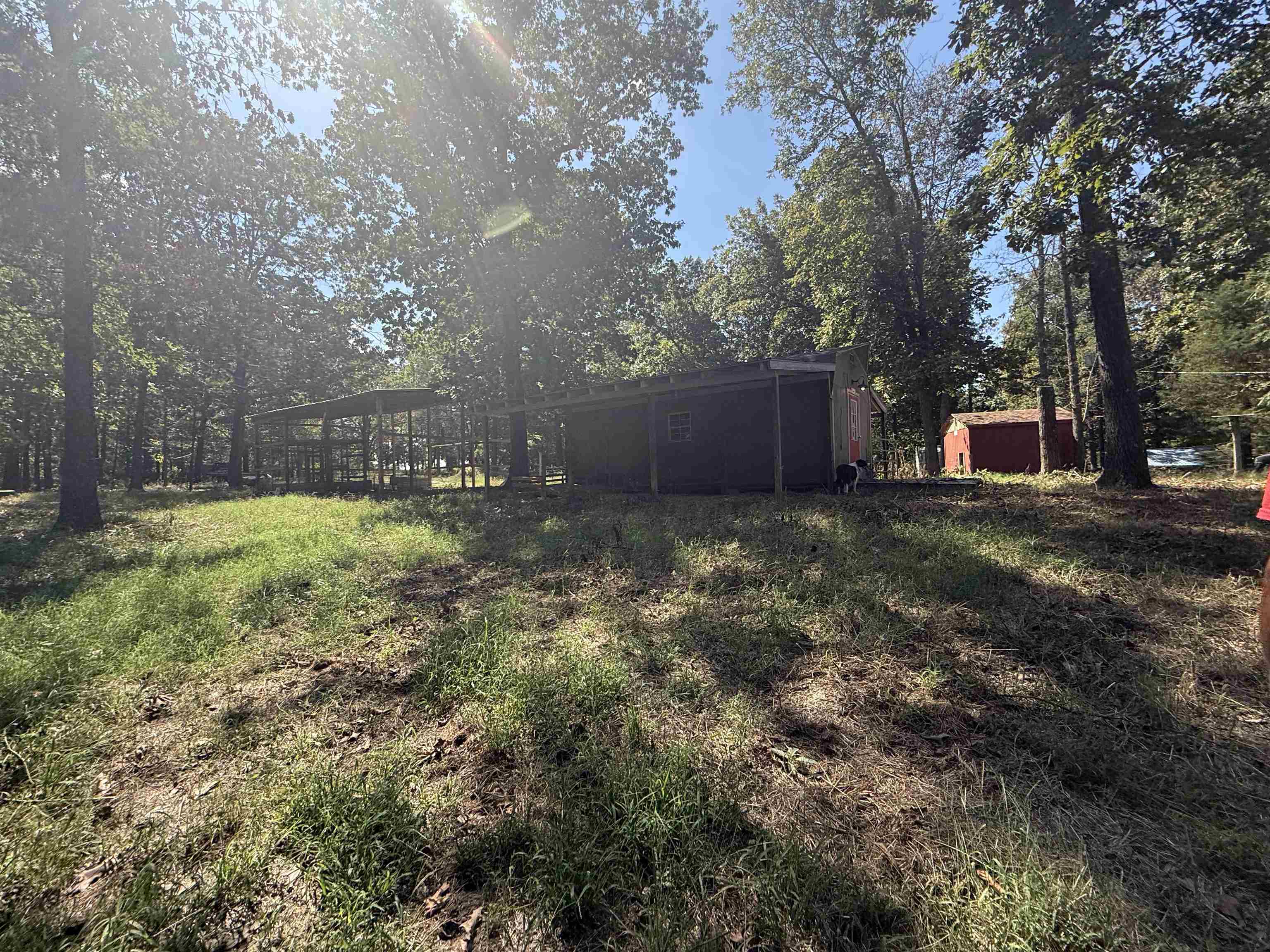 1778 Hwy 63 Property Photo 11