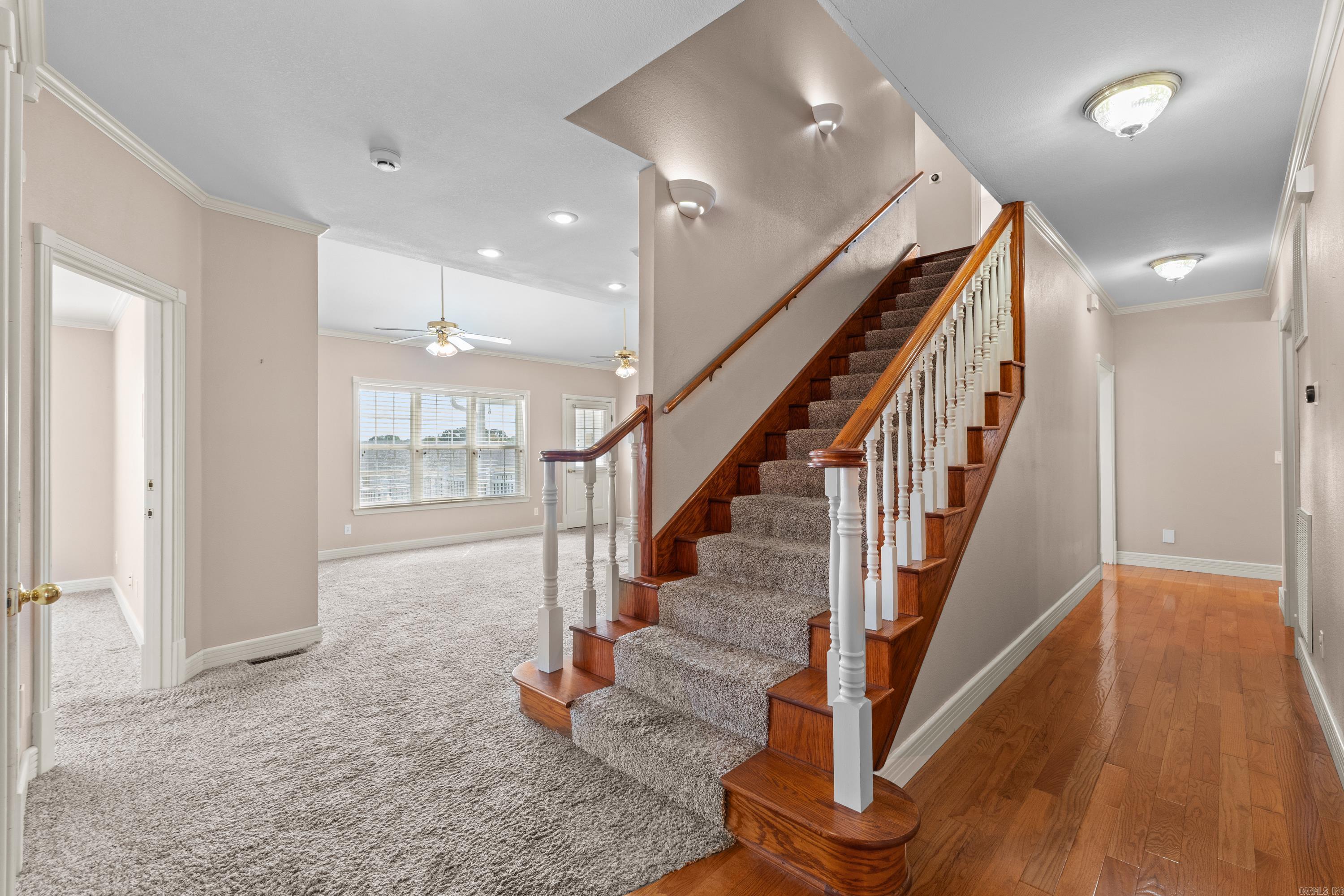 51 Mandarin Court Property Photo 19