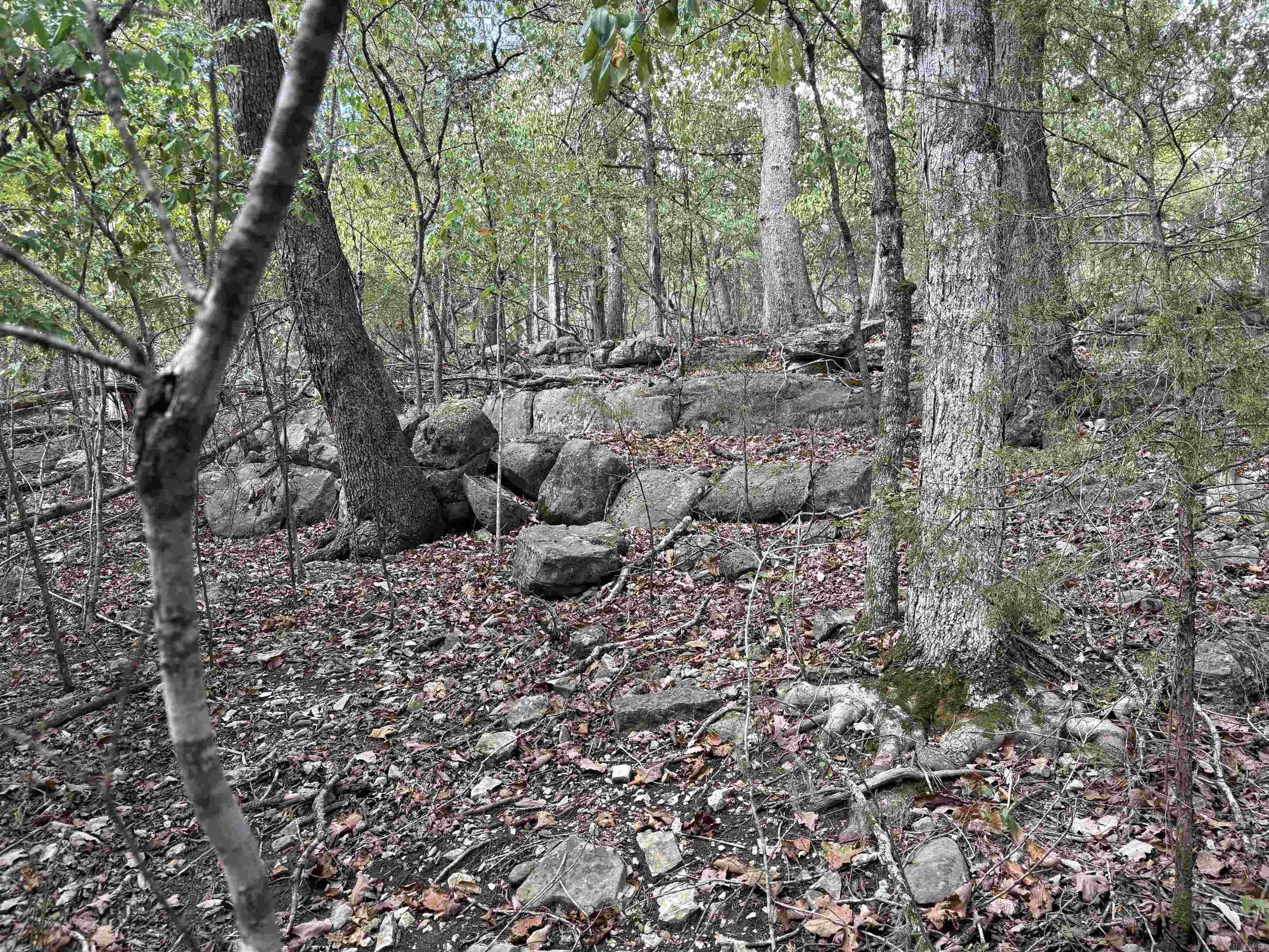 001-09384-000 Camp Galilee Road Property Photo 26