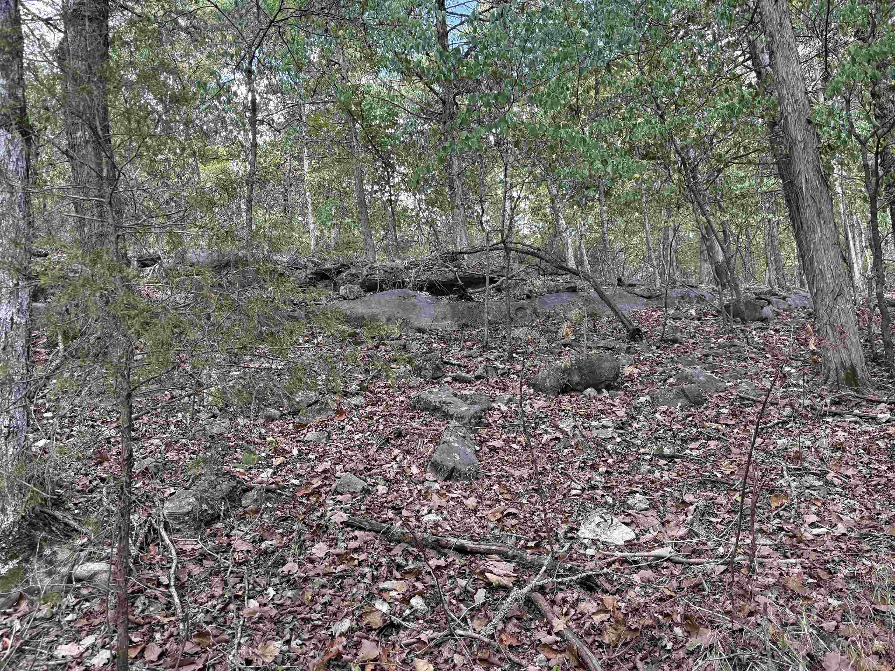 001-09384-000 Camp Galilee Road Property Photo 27