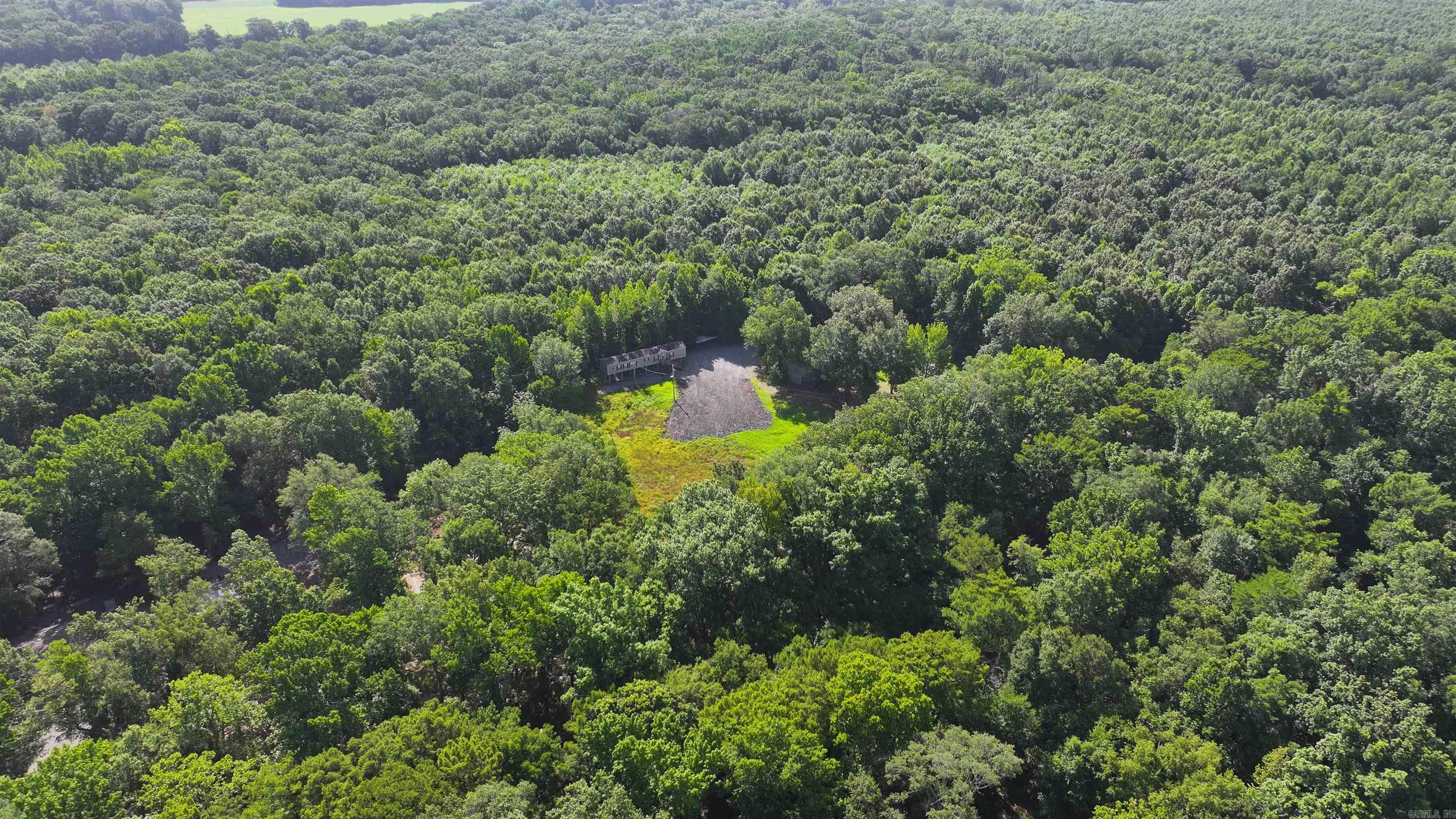 0 Lower Maddox Bay Property Photo 13