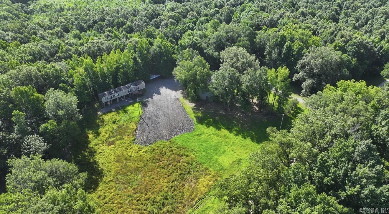 0 Lower Maddox Bay Property Photo 15