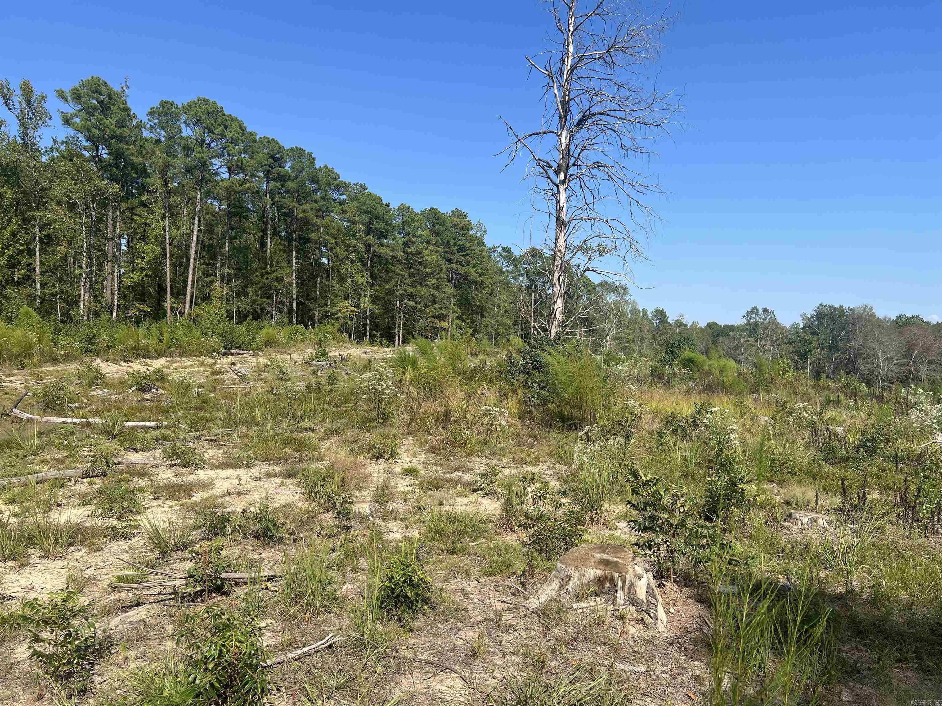 2367 Hwy 346 Property Photo 1
