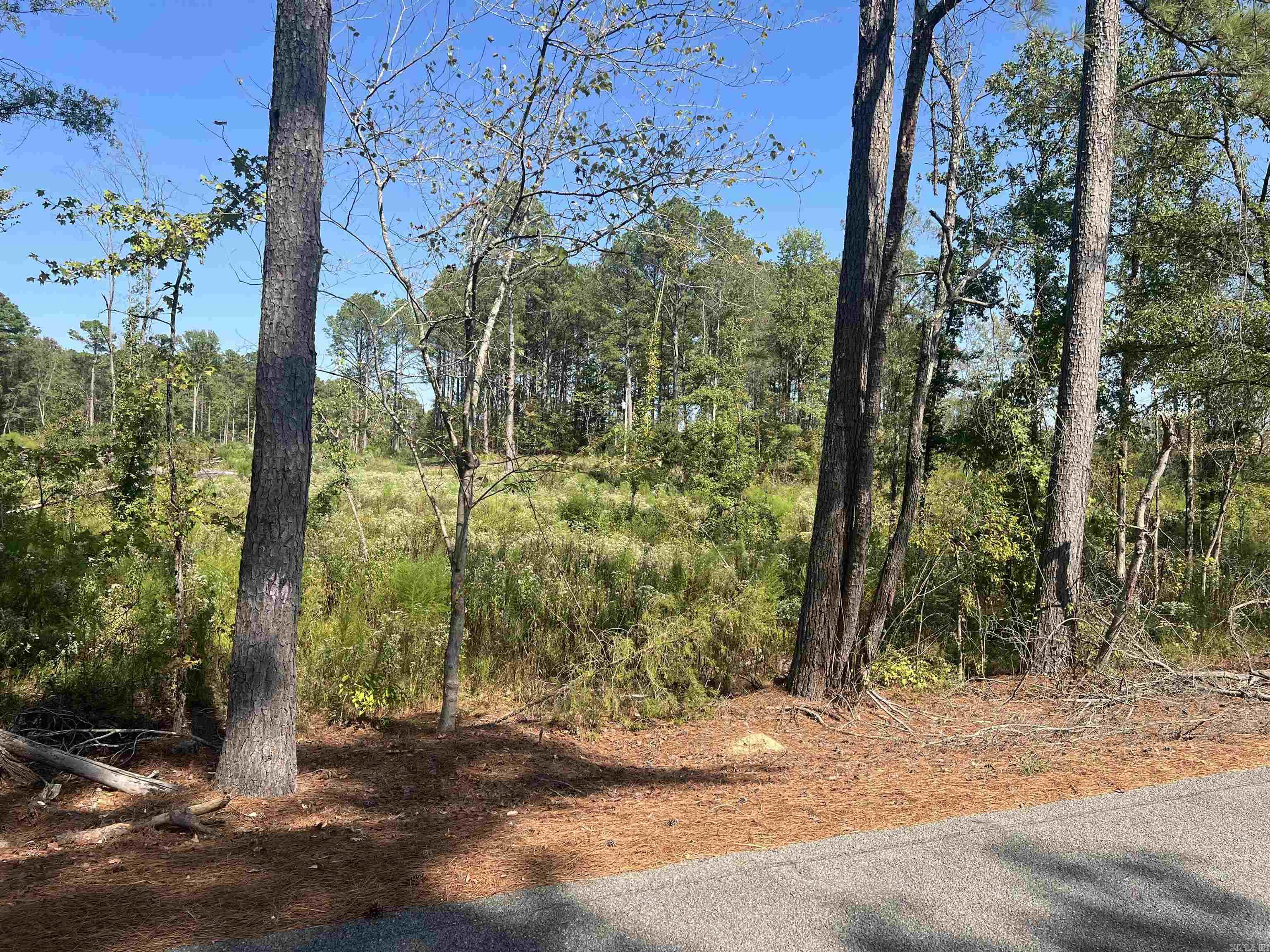 2367 Hwy 346 Property Photo 2