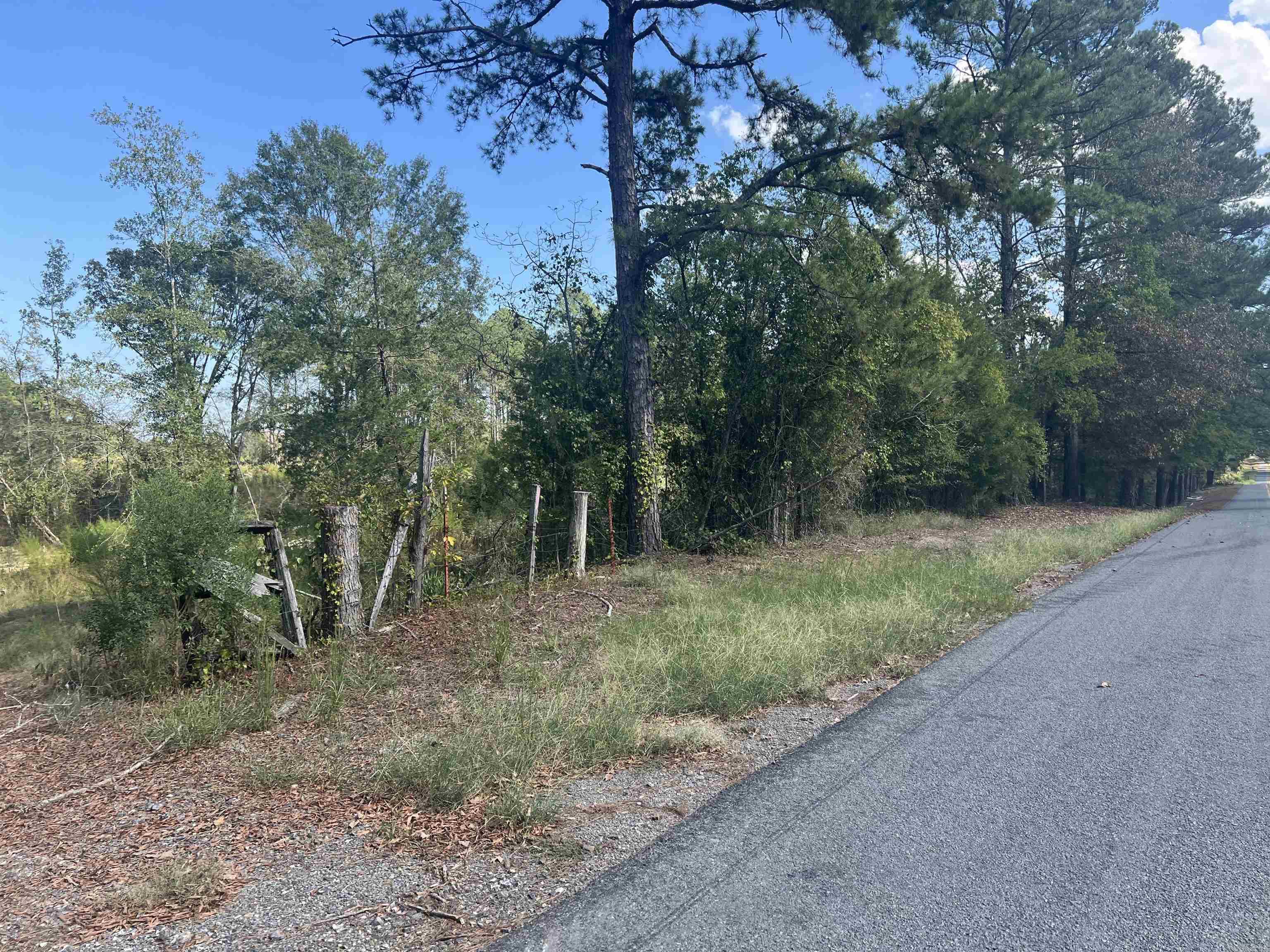 2367 Hwy 346 Property Photo 4