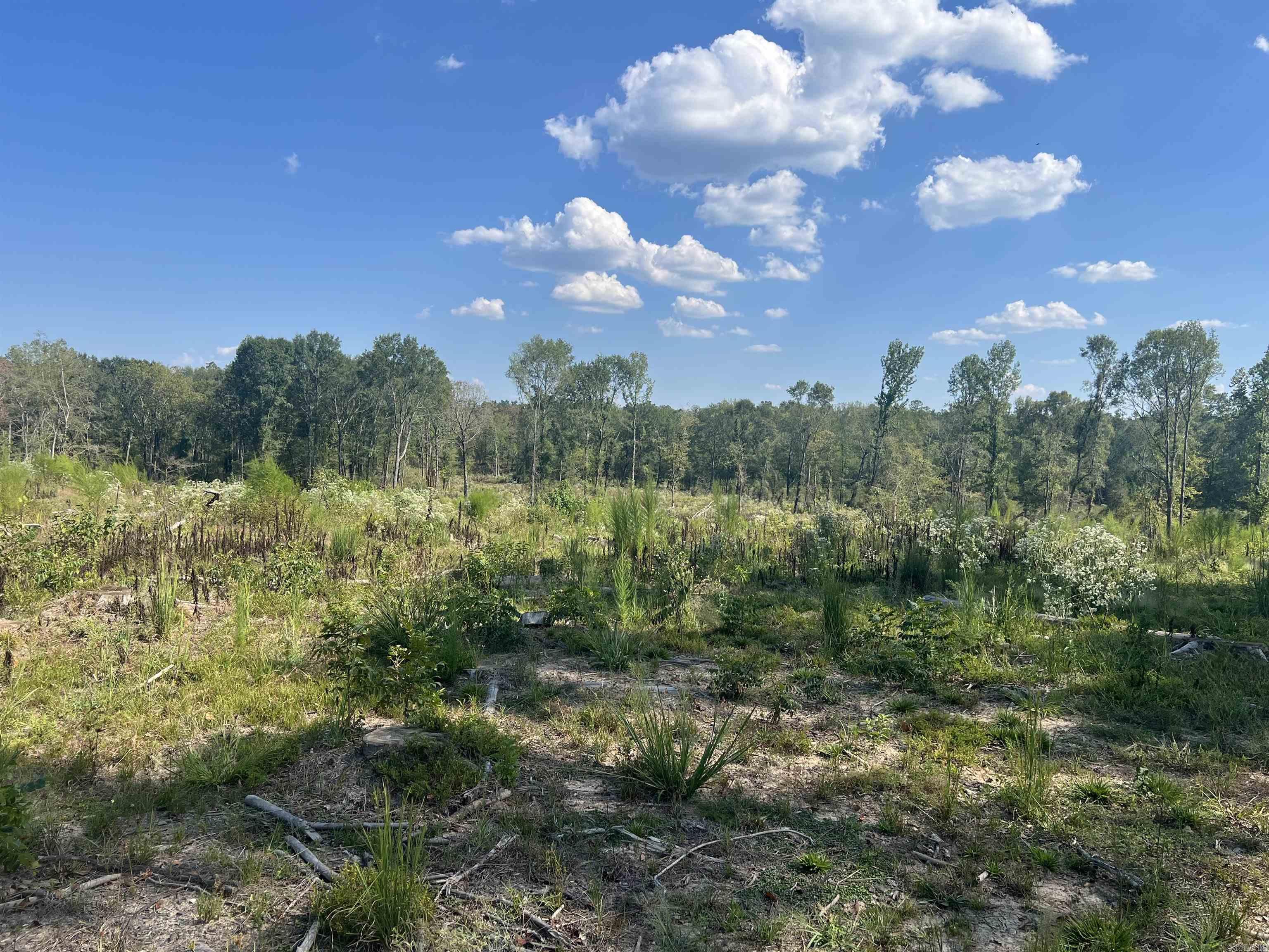 2367 Hwy 346 Property Photo 6