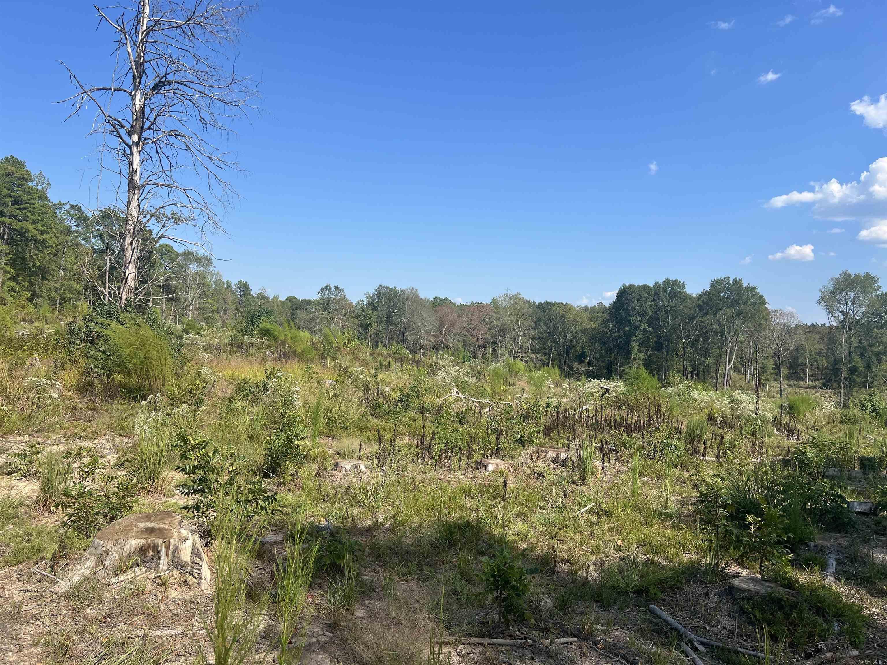 2367 Hwy 346 Property Photo 7