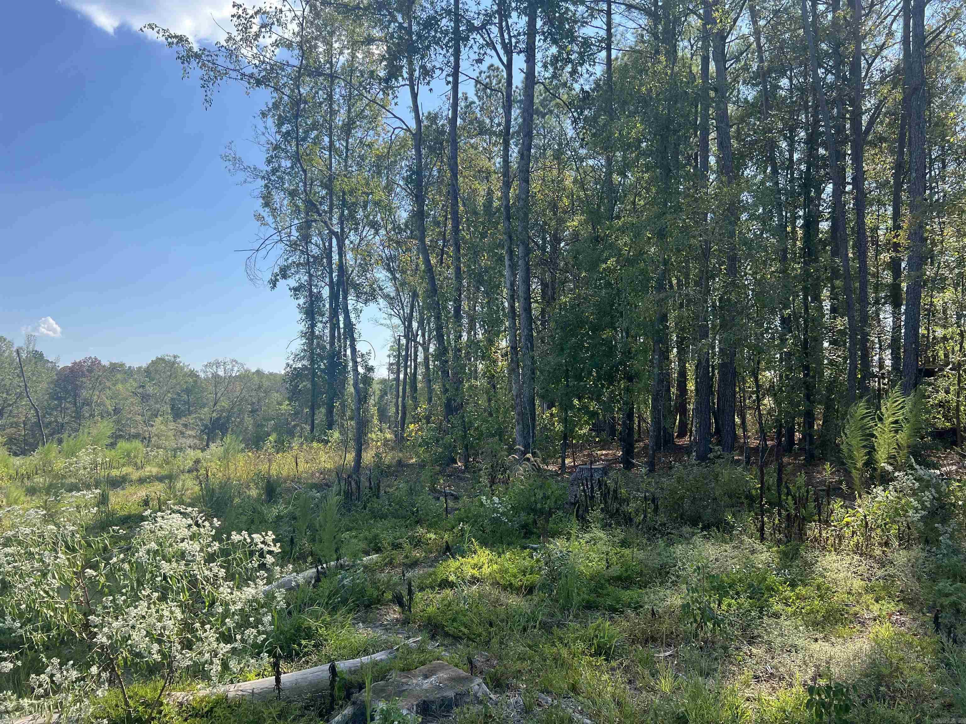 2367 Hwy 346 Property Photo 9