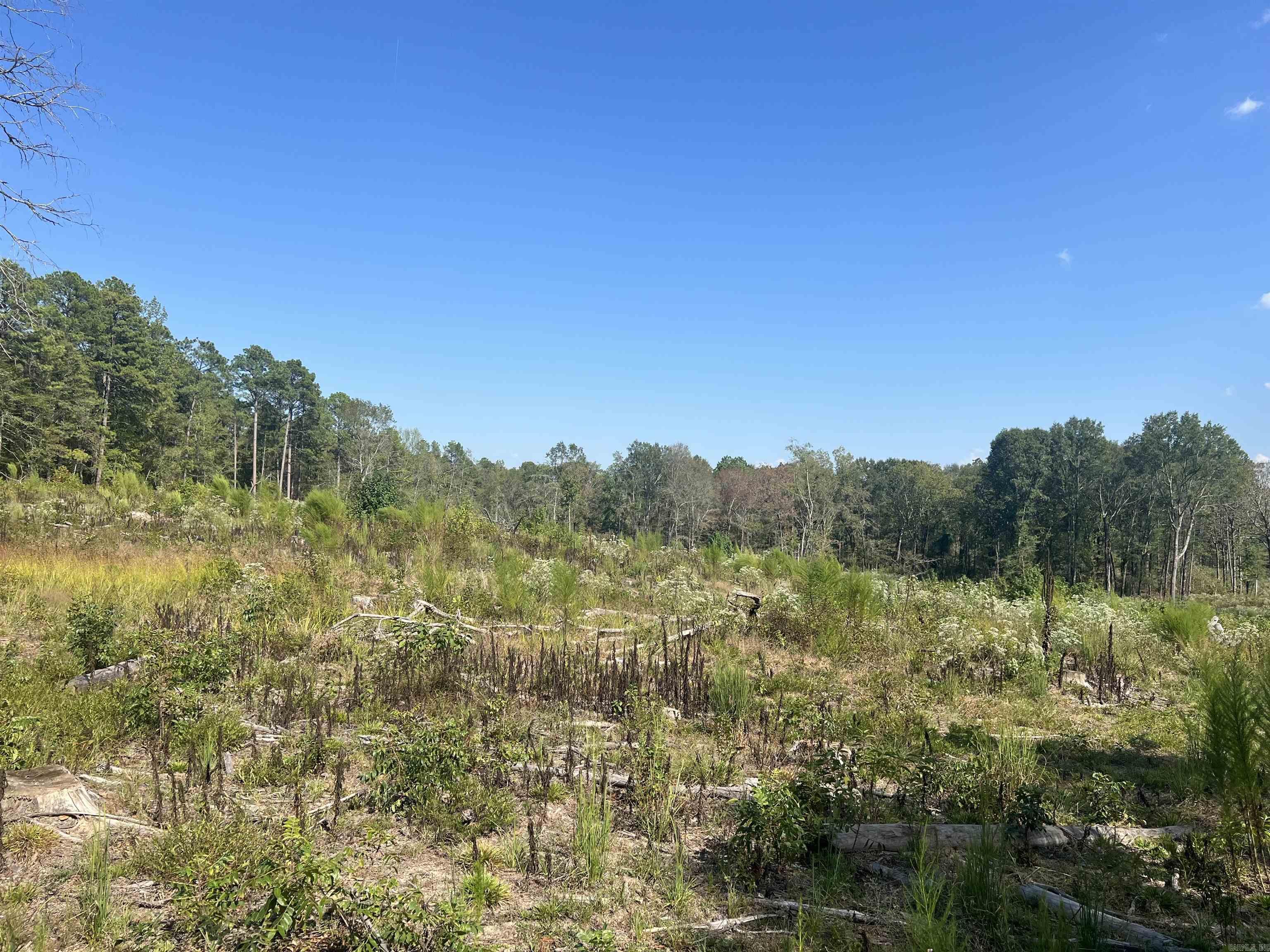2367 Hwy 346 Property Photo 10