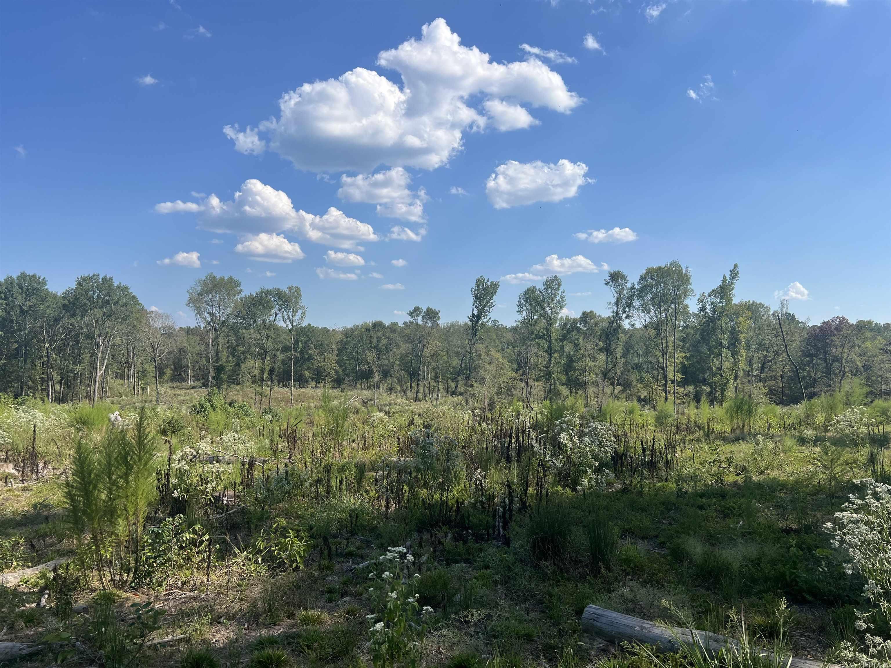2367 Hwy 346 Property Photo 11