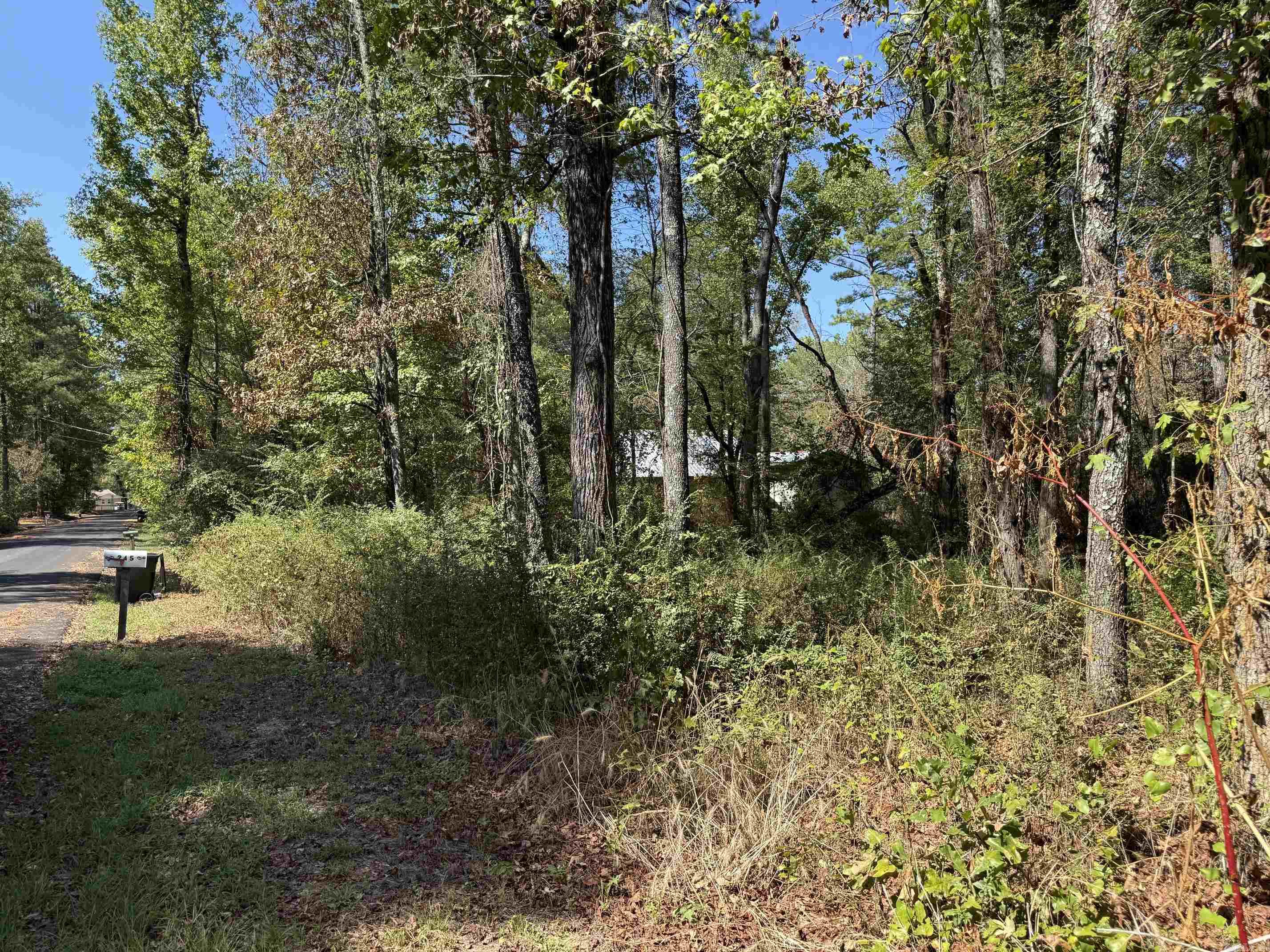 Xxx Pirate Drive Property Photo 2