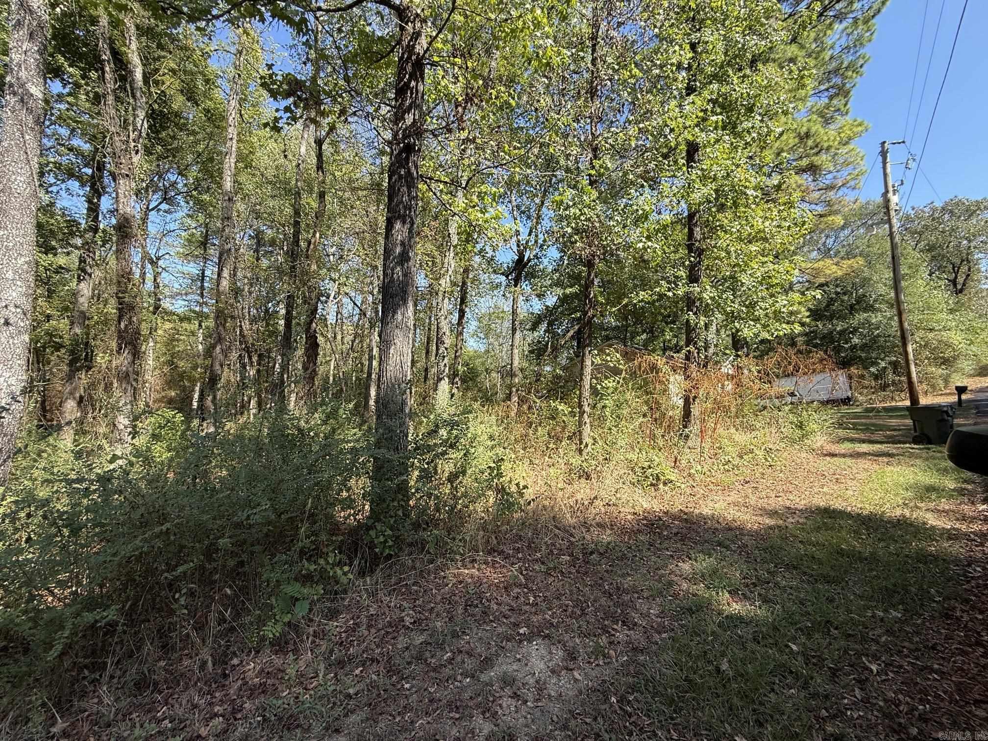 Xxx Pirate Drive Property Photo 4