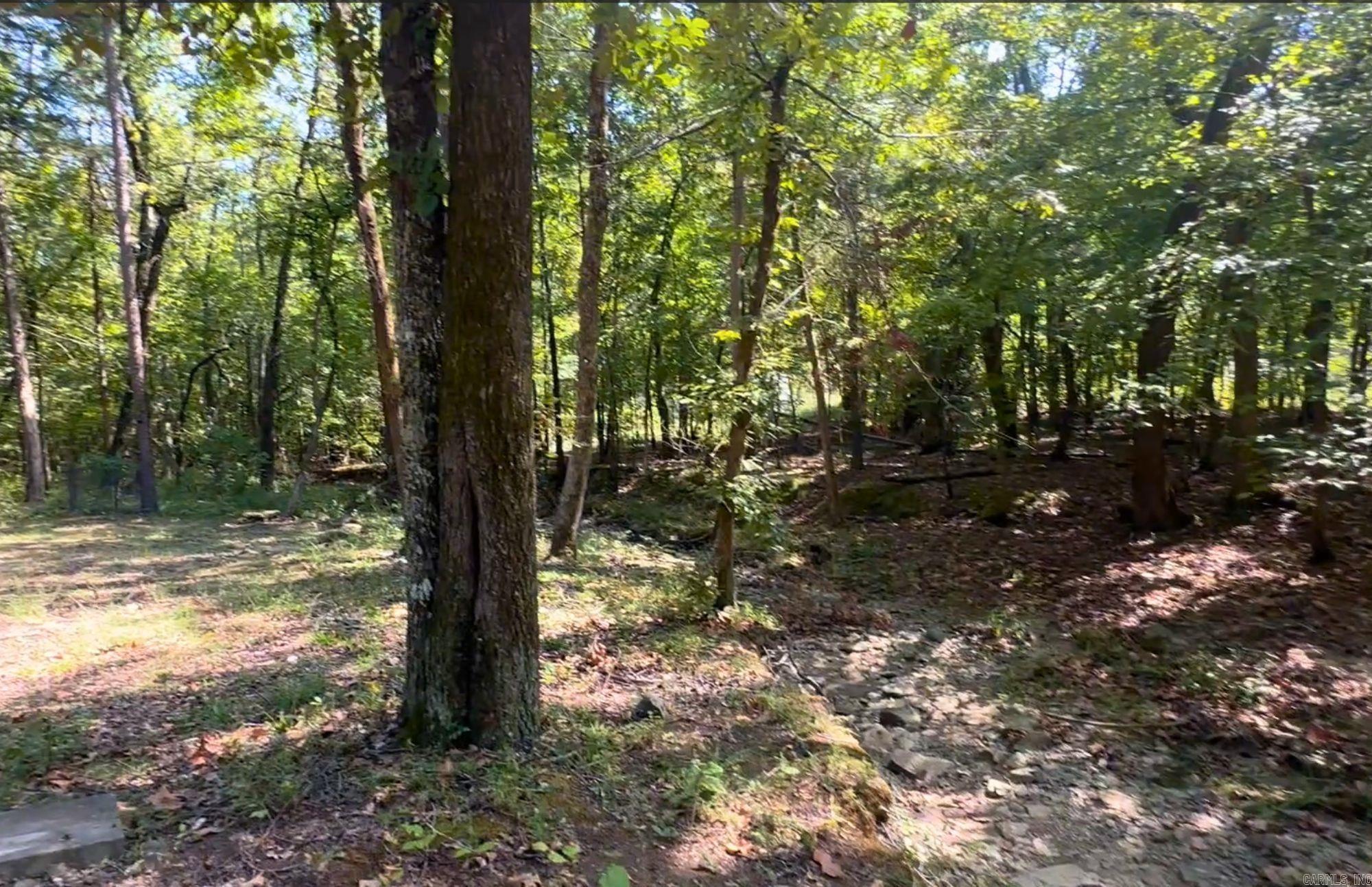 1574 Cove Creek Rd Property Photo 19