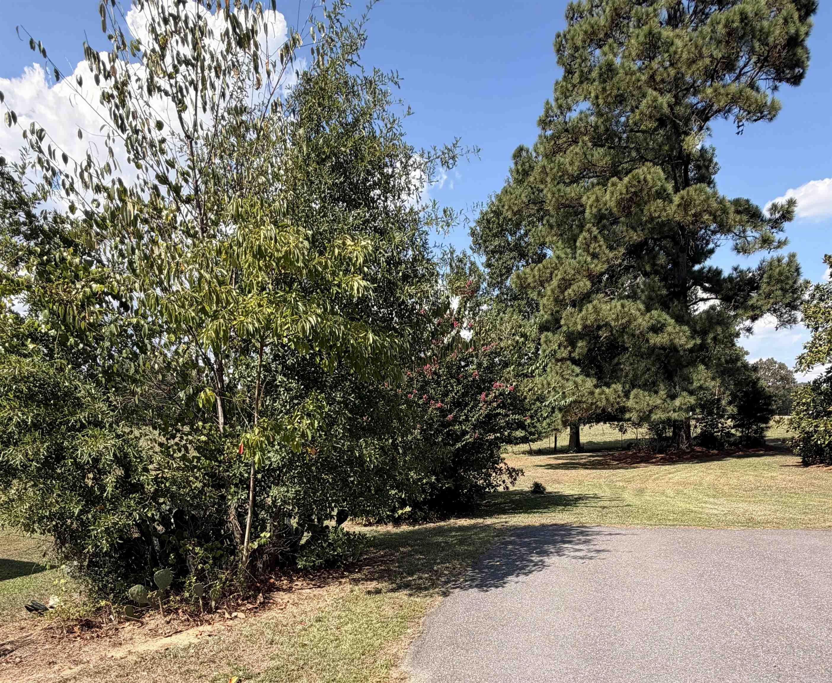 796 Rock Springs Rd. Property Photo 35
