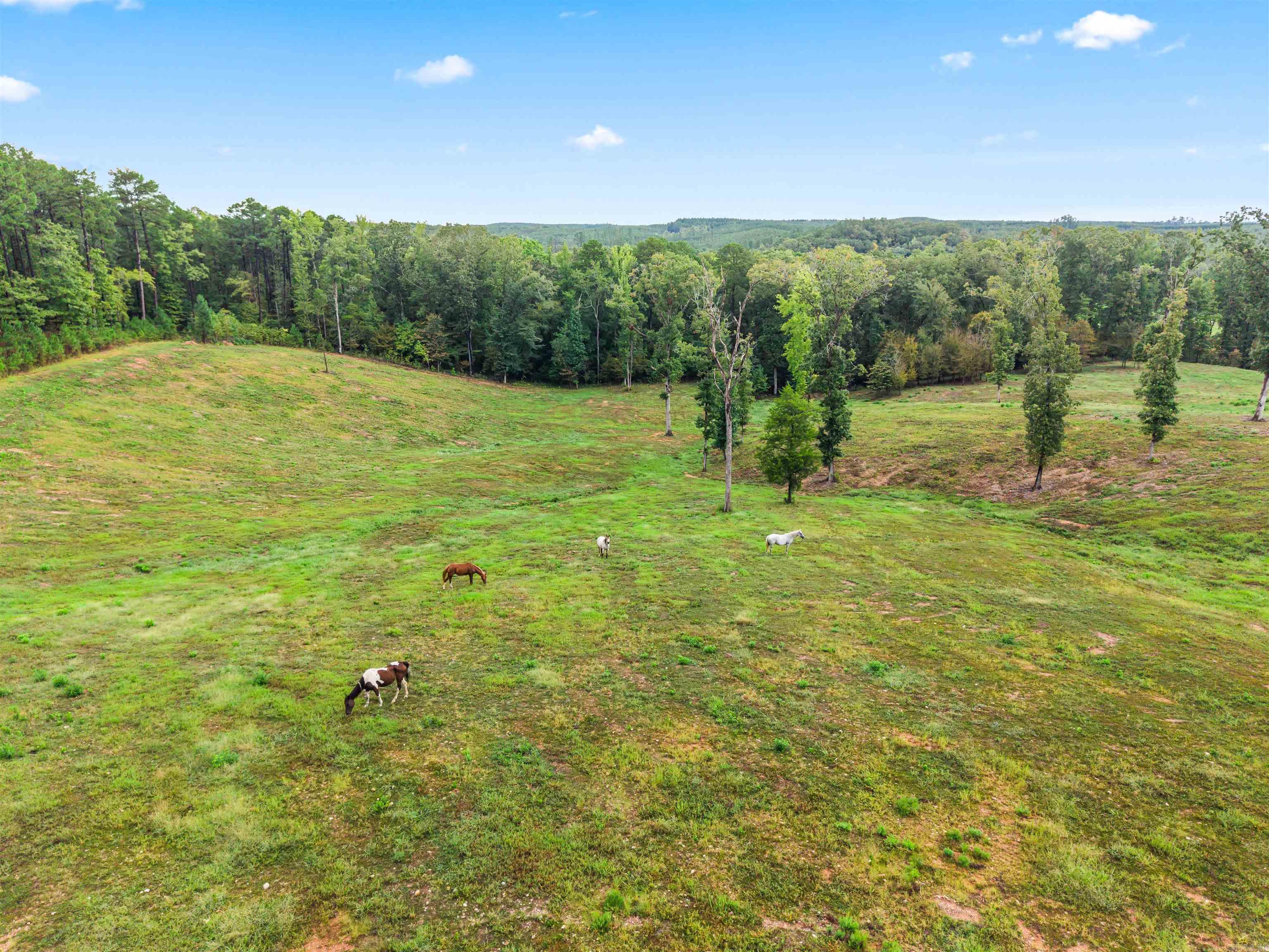 6080 Ziegler Road Property Photo 43