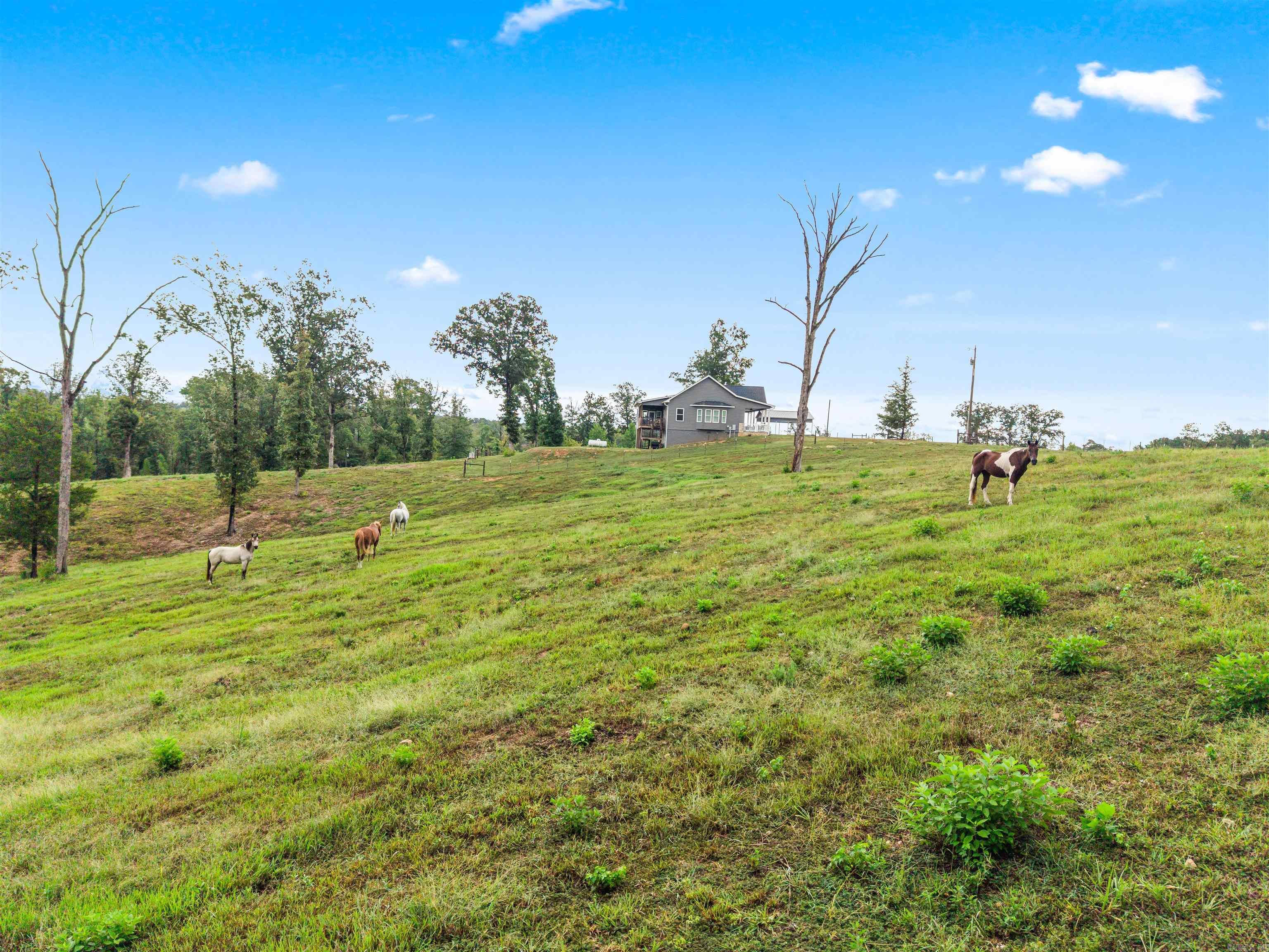 6080 Ziegler Road Property Photo 44