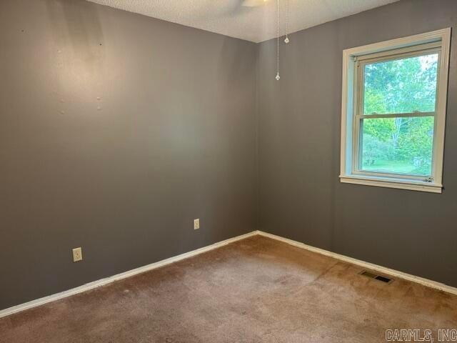 155 Sawmill Road Property Photo 18