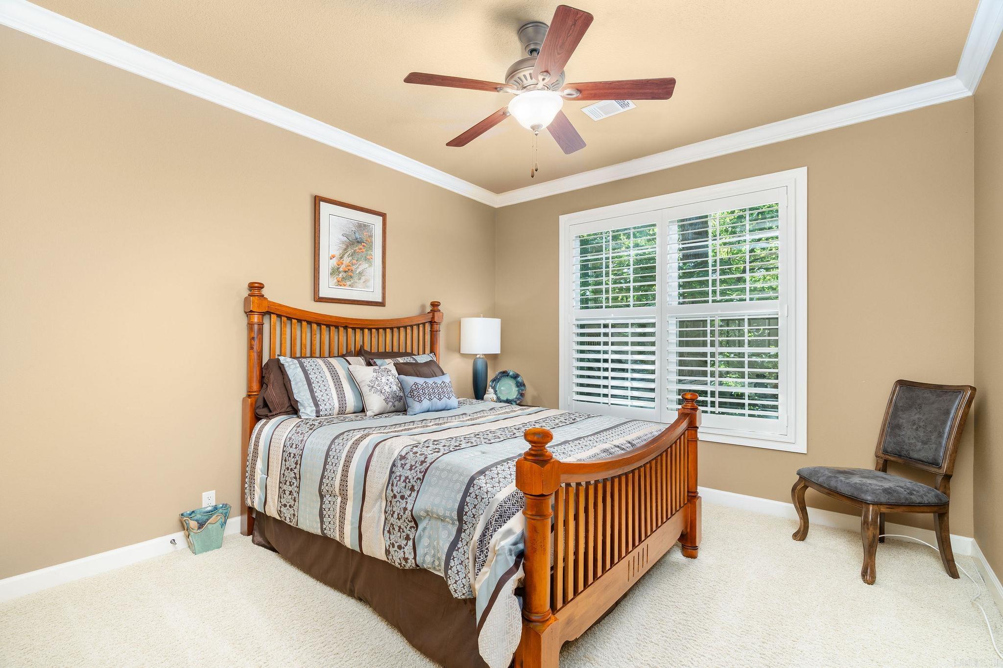6 Lucir Lane Property Photo 17