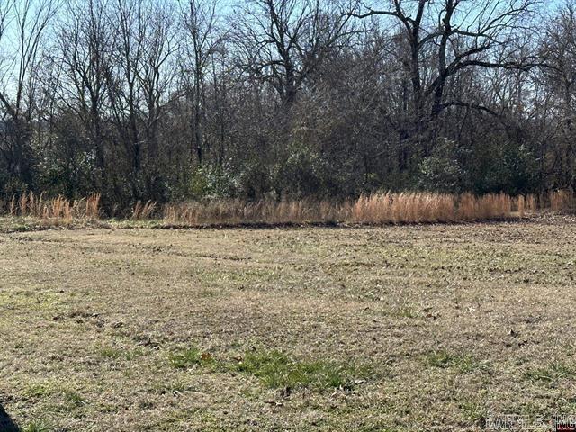 Lots 1657-1660 9th Street Property Photo 1