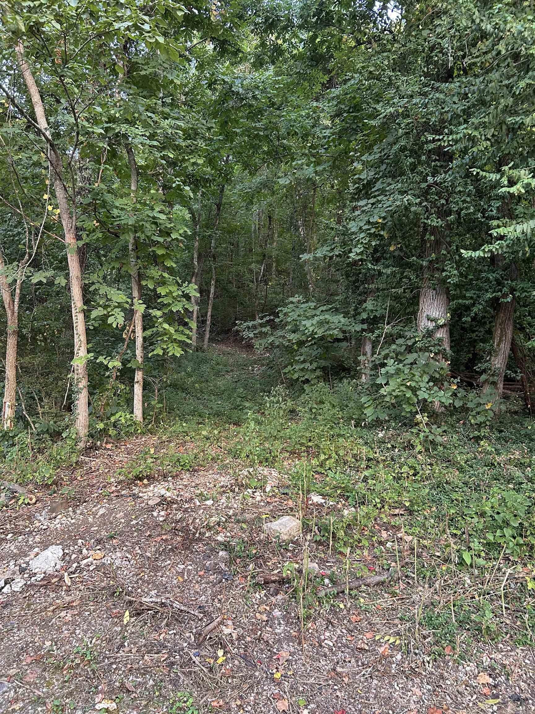 17416 Hwy 9 S Property Photo 35