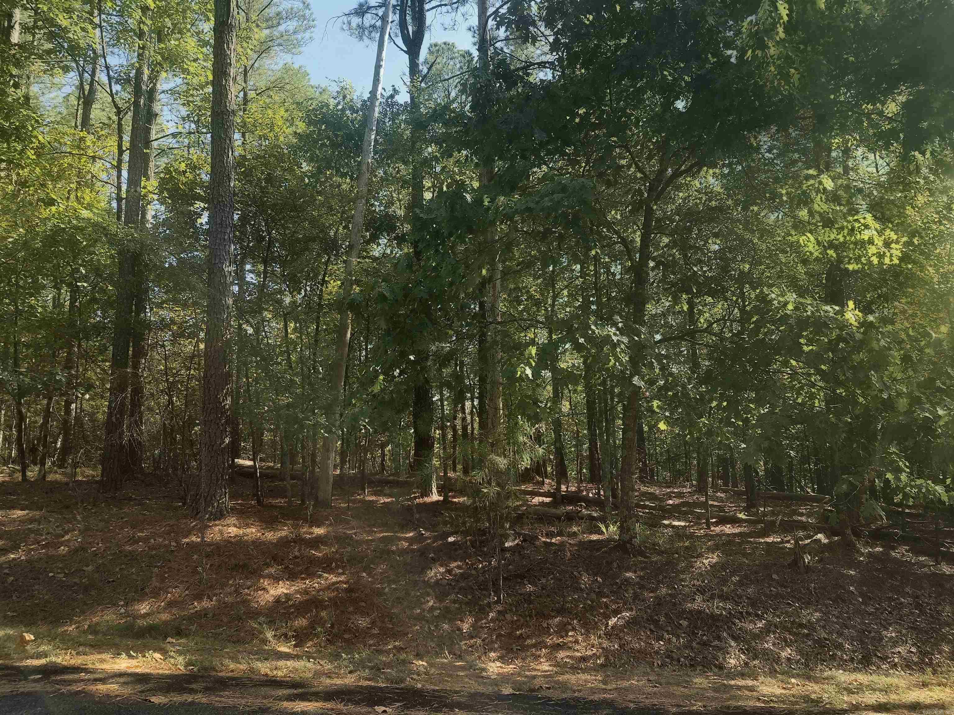 19 Celeste Lane Property Photo 7