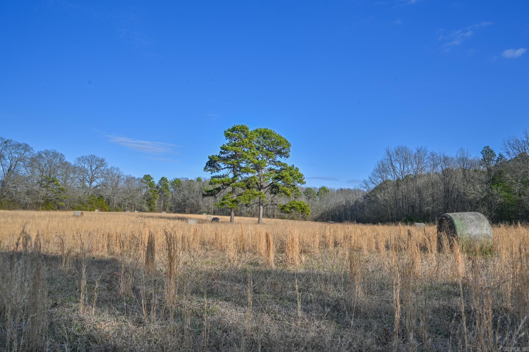 182 Polk Road 672 Property Photo 4