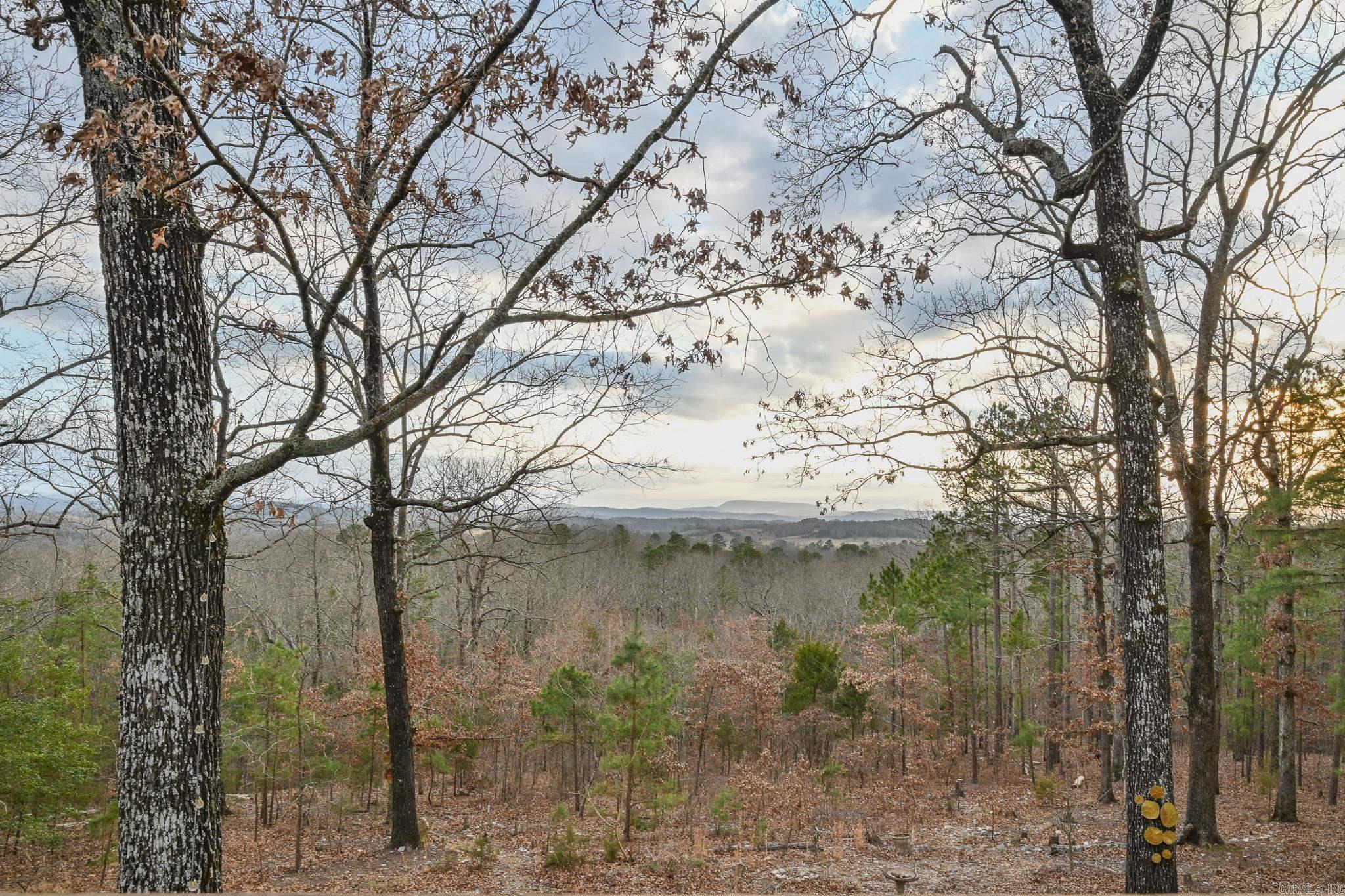 182 Polk Road 672 Property Photo 45