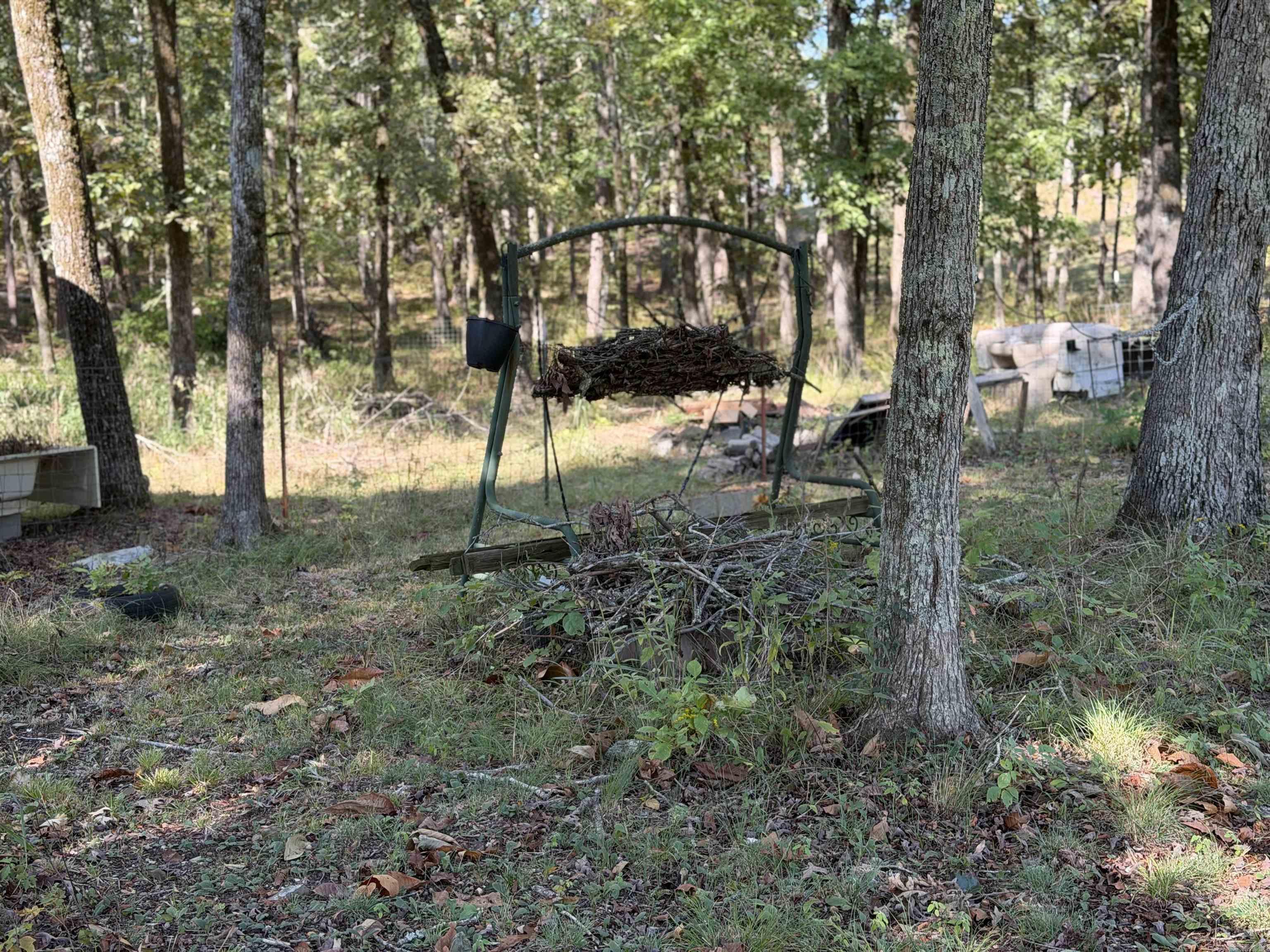 387 Kevin Property Photo 21