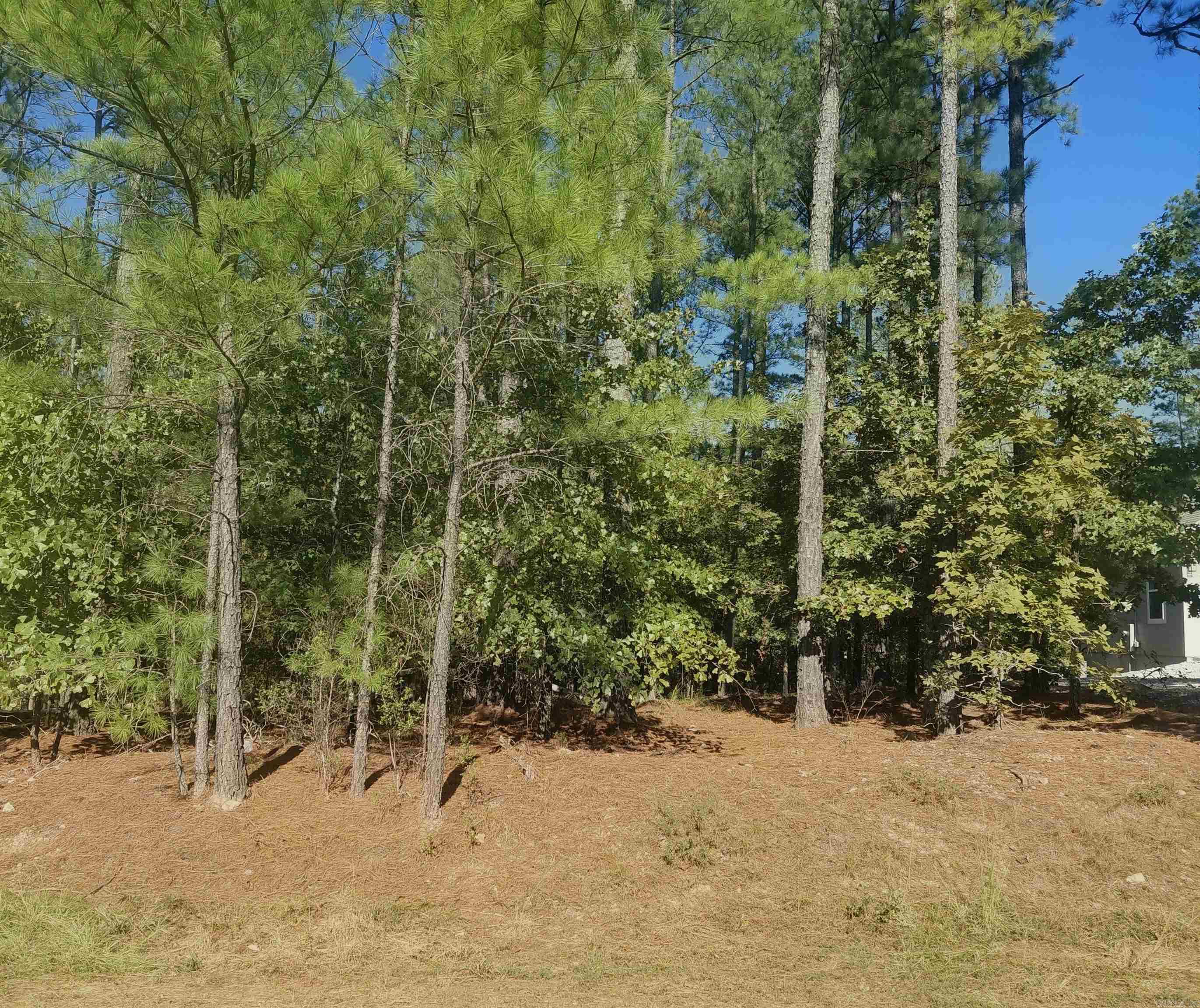 16 Vigoroso Lane Property Photo 1
